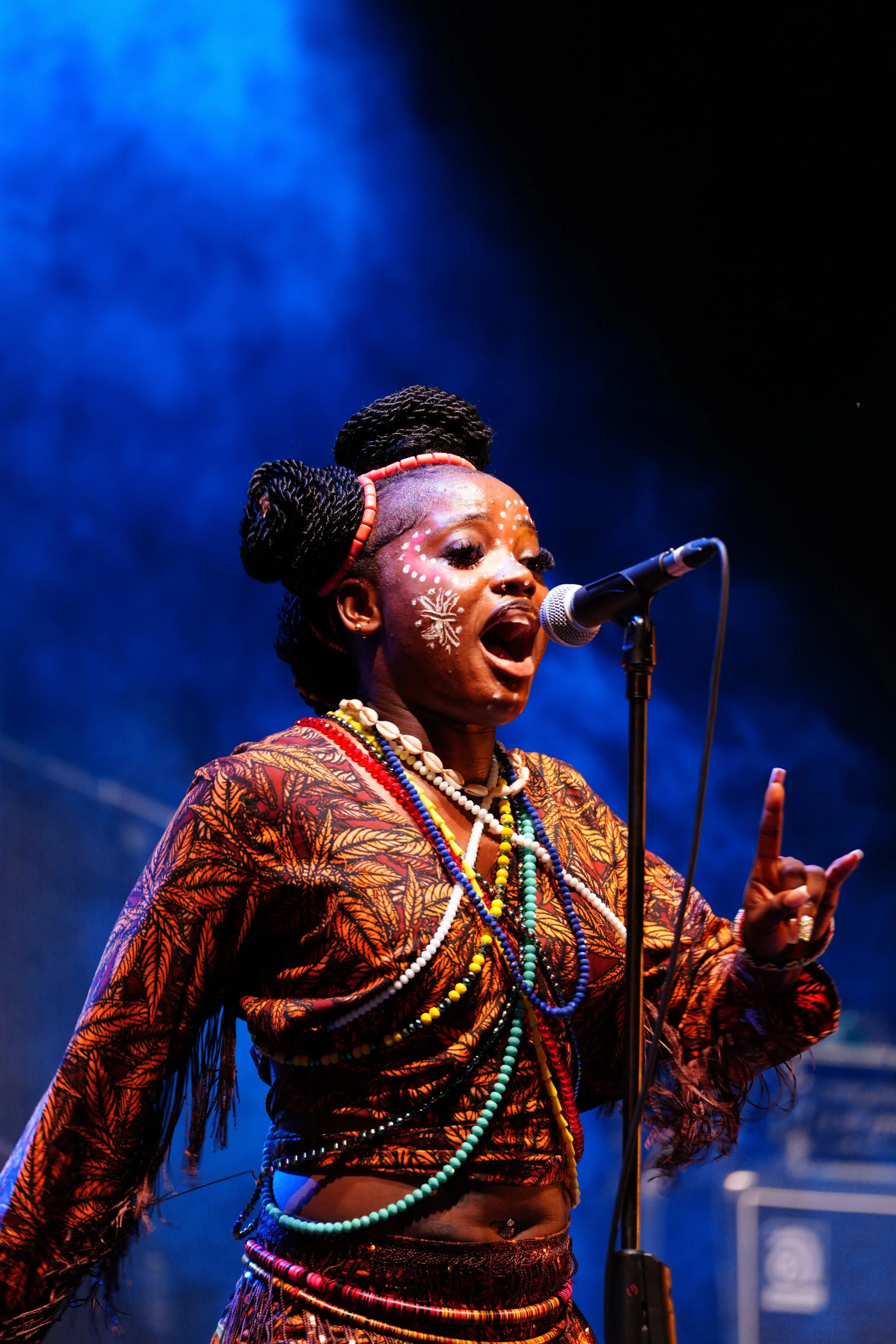 Portrait Female Singer Band Music(1)
