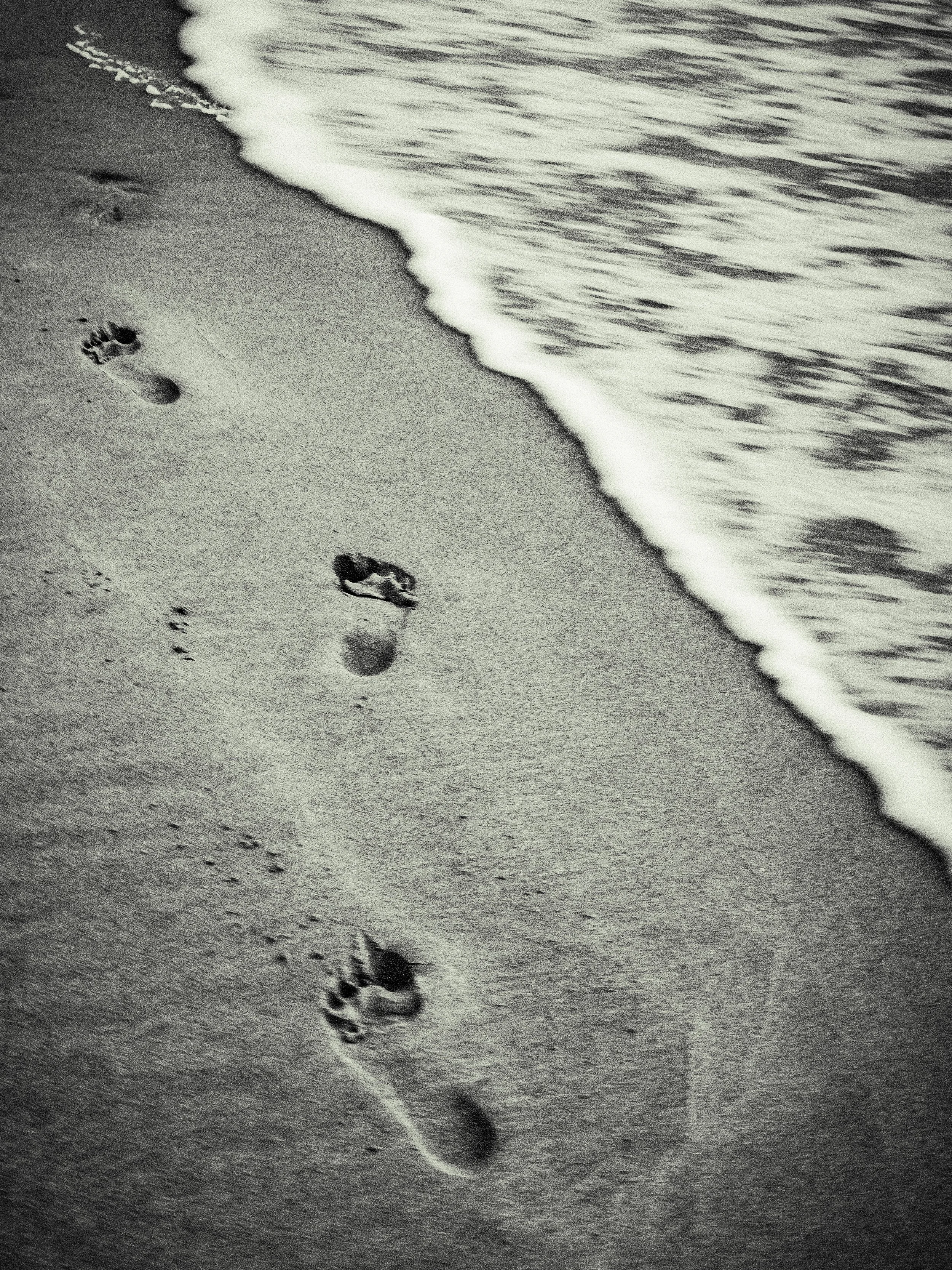 New_NSC_Go Your Own Way.JPG