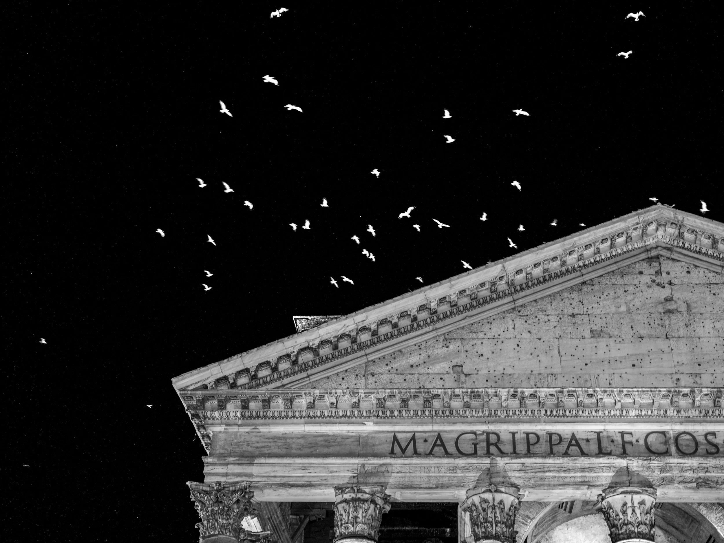 MONO_The Birds around the Pantheon.JPG