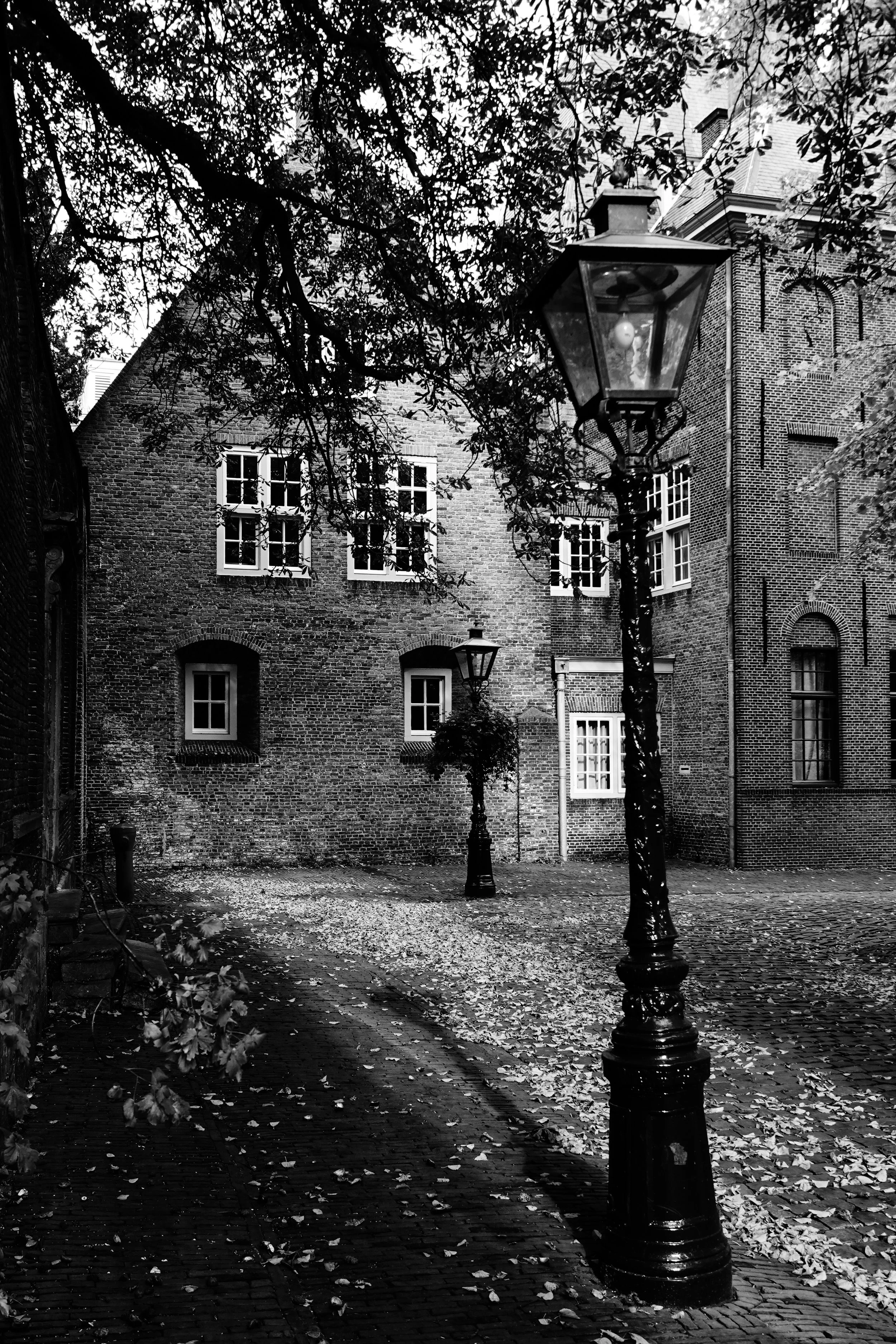DS Autumn Day at Pieterskerkplein Leiden Netherlands BNW.JPG
