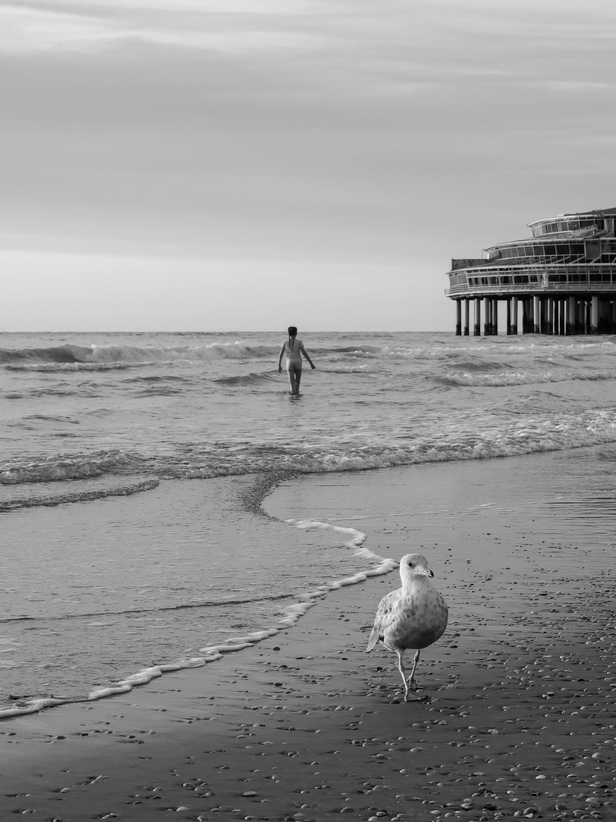 New_NSC_A Summer Evening at Sea pt. 1.JPG