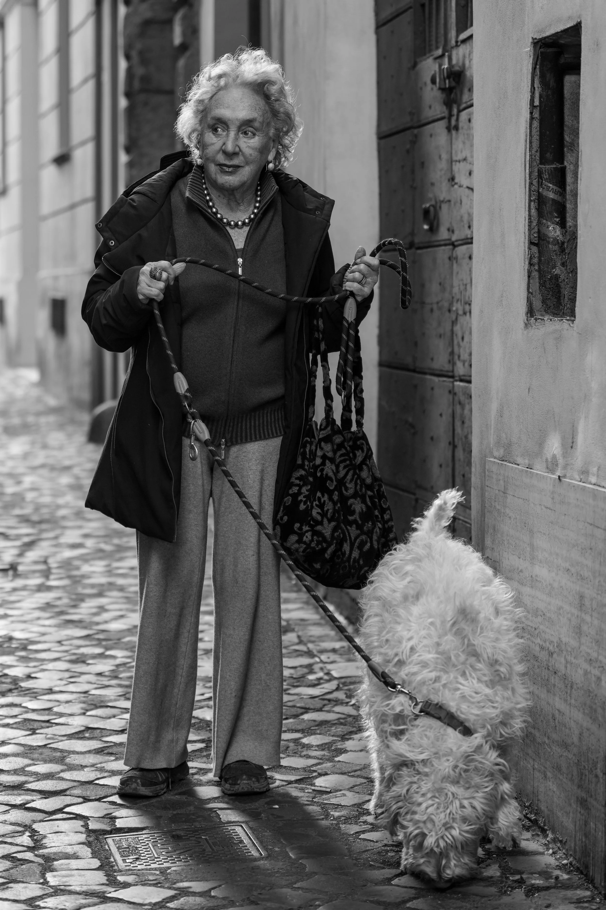 Street Scene Woman walking Dog Rome Italy
