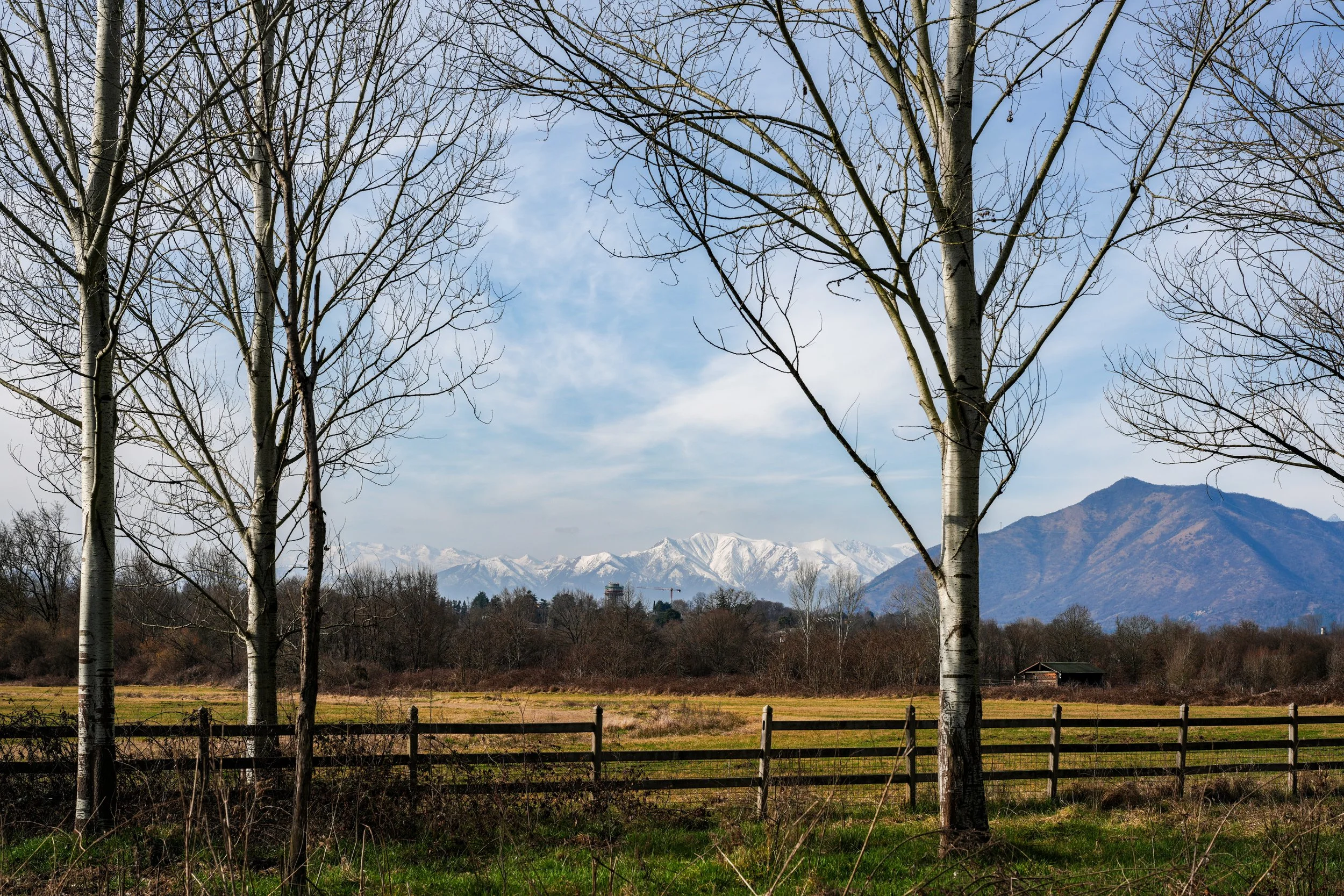 IL_La Mandria near Torino.JPG