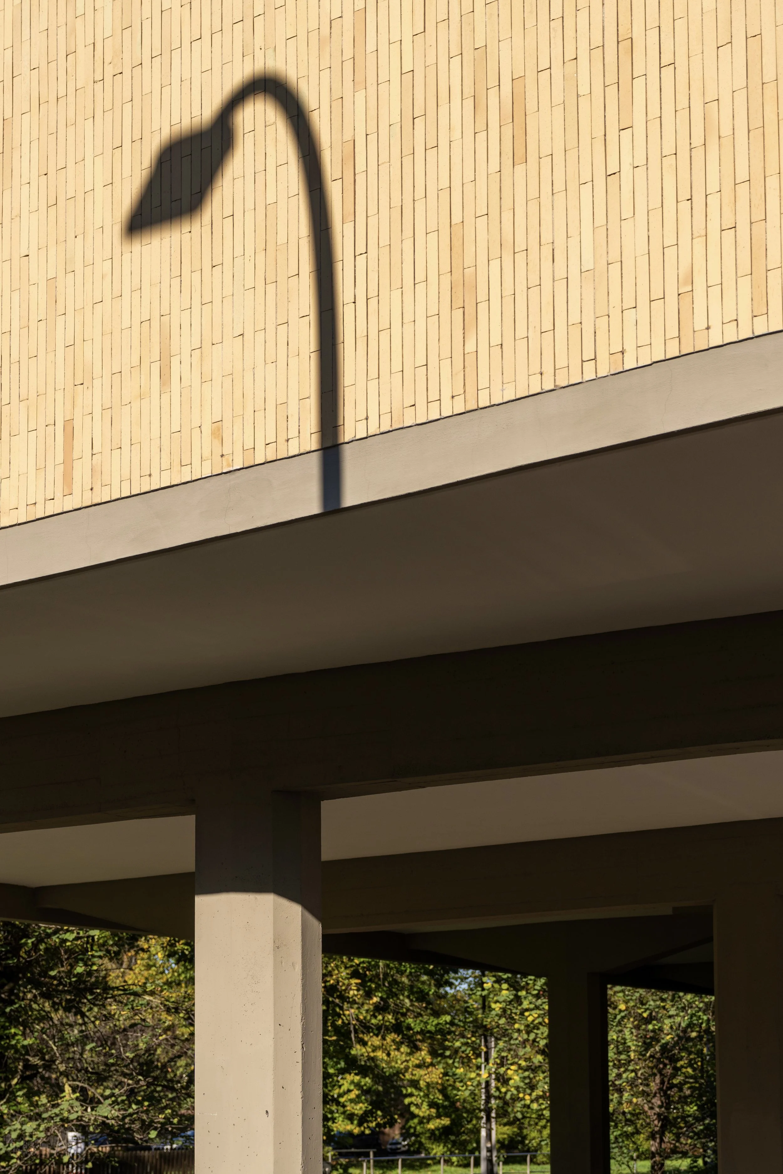 Street Scene Lamp Shadow Rome Italy
