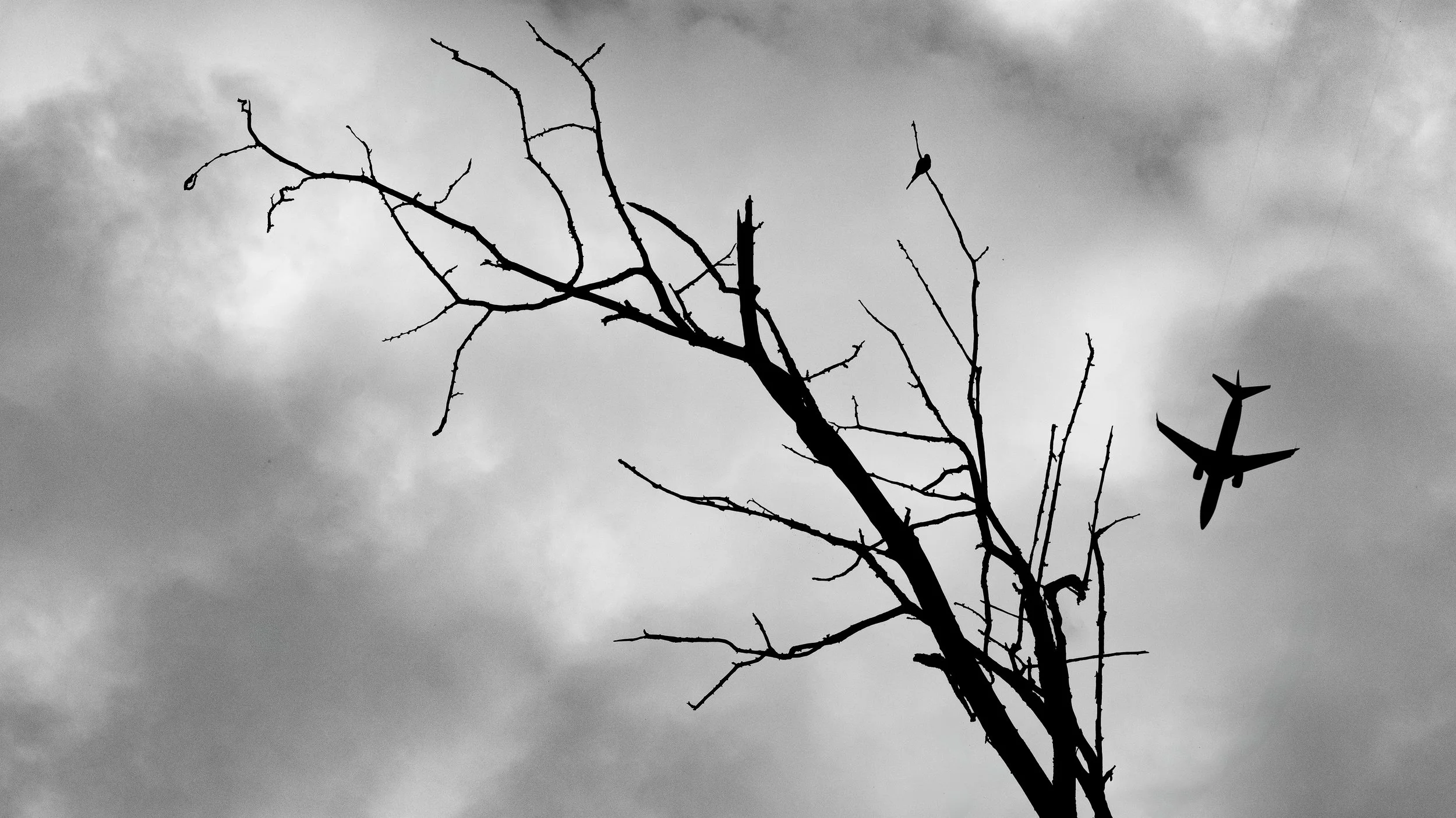 American Dream L 16x9.JPG