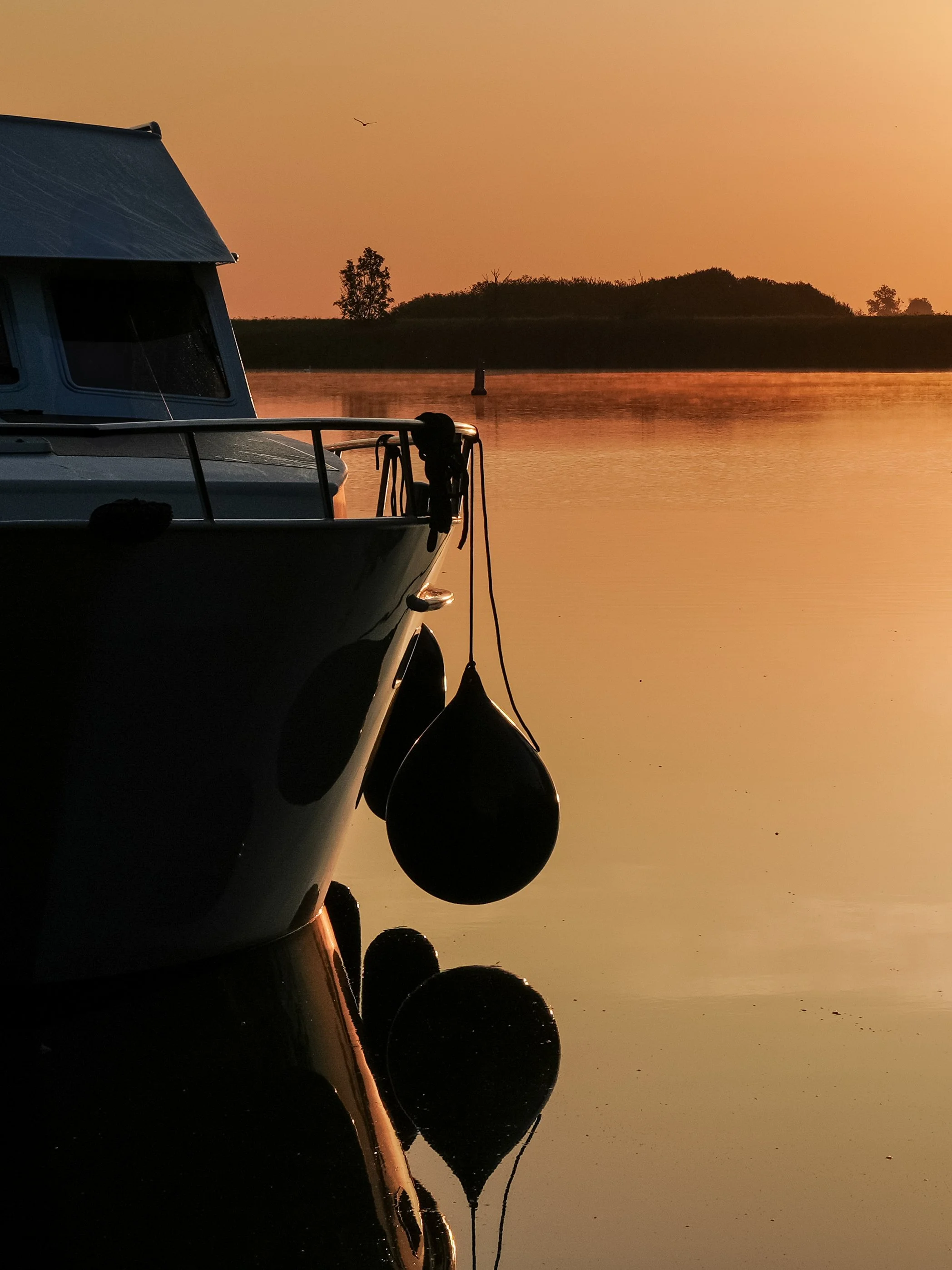 New_AoN_5.51 AM at the Lake.JPG