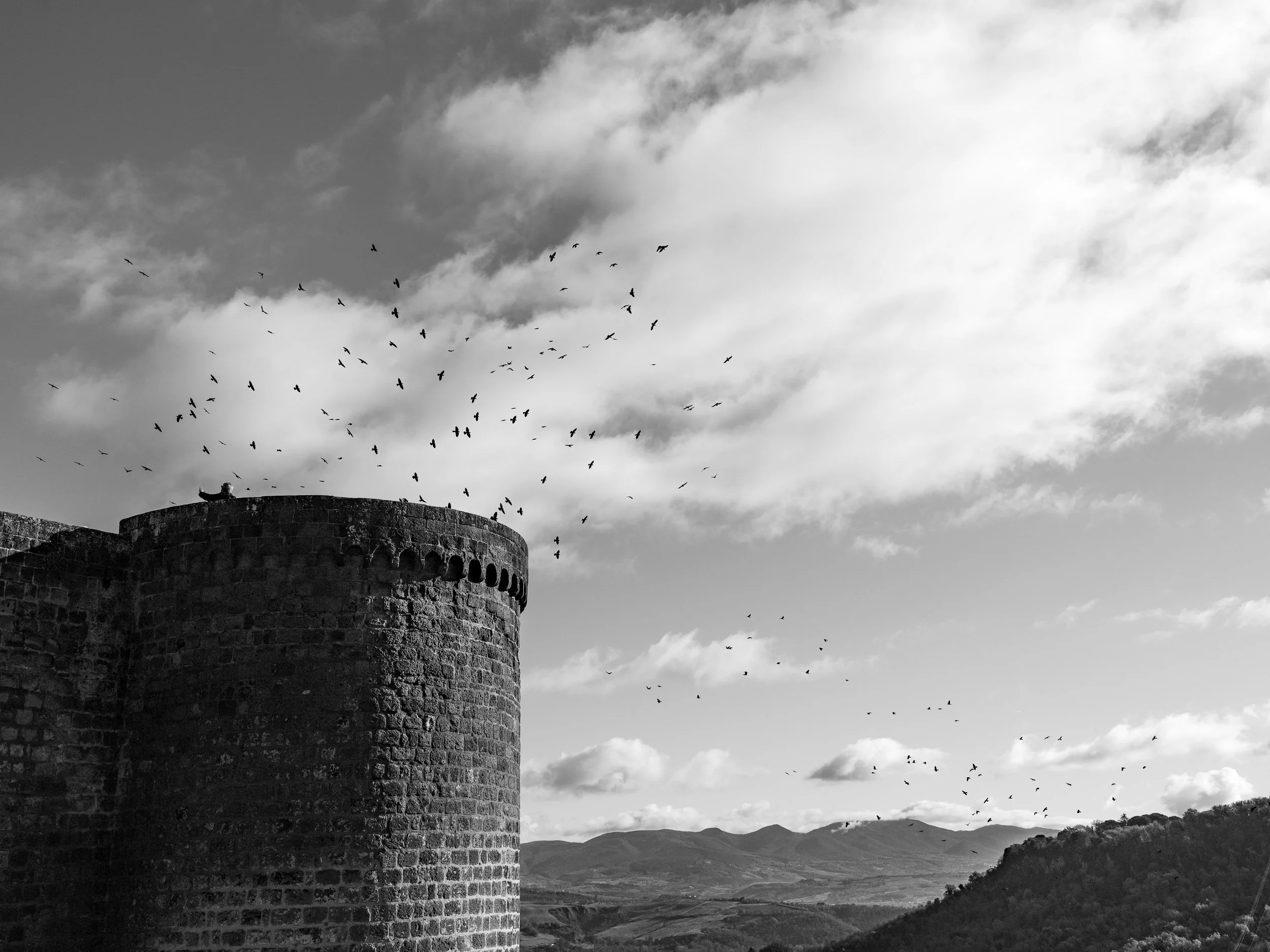 MONO The Master and the Birds 4-3.JPG