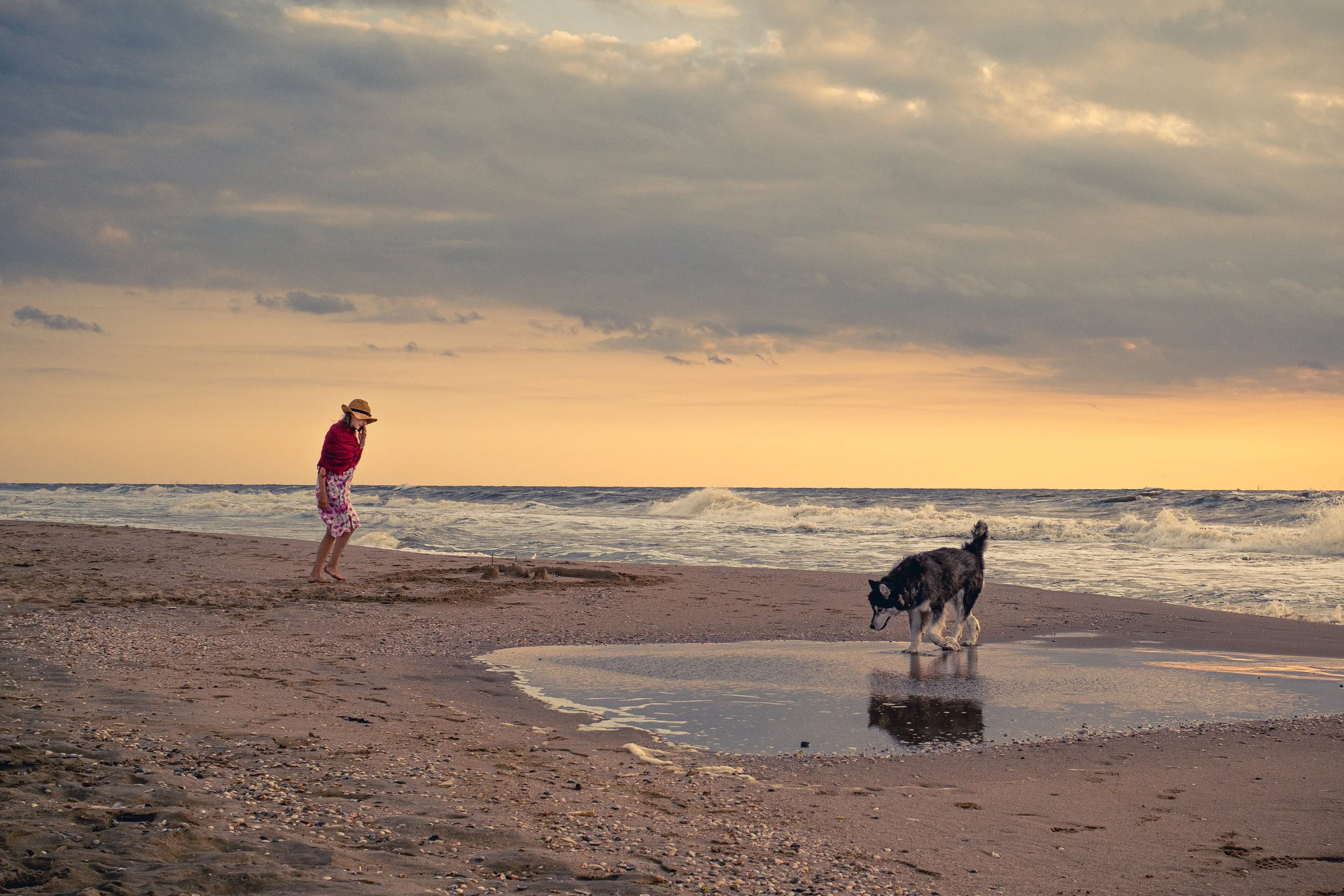 New_NSC_The Girl with the Hat and the Dog.jpg