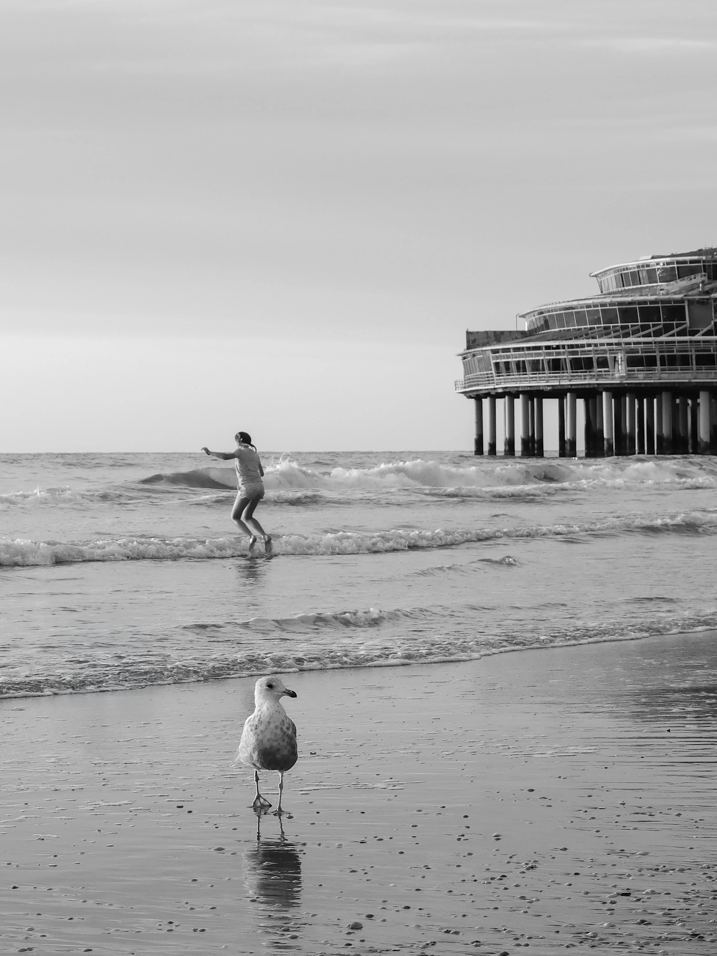 New_NSC_A Summer Evening at Sea pt. 2.JPG