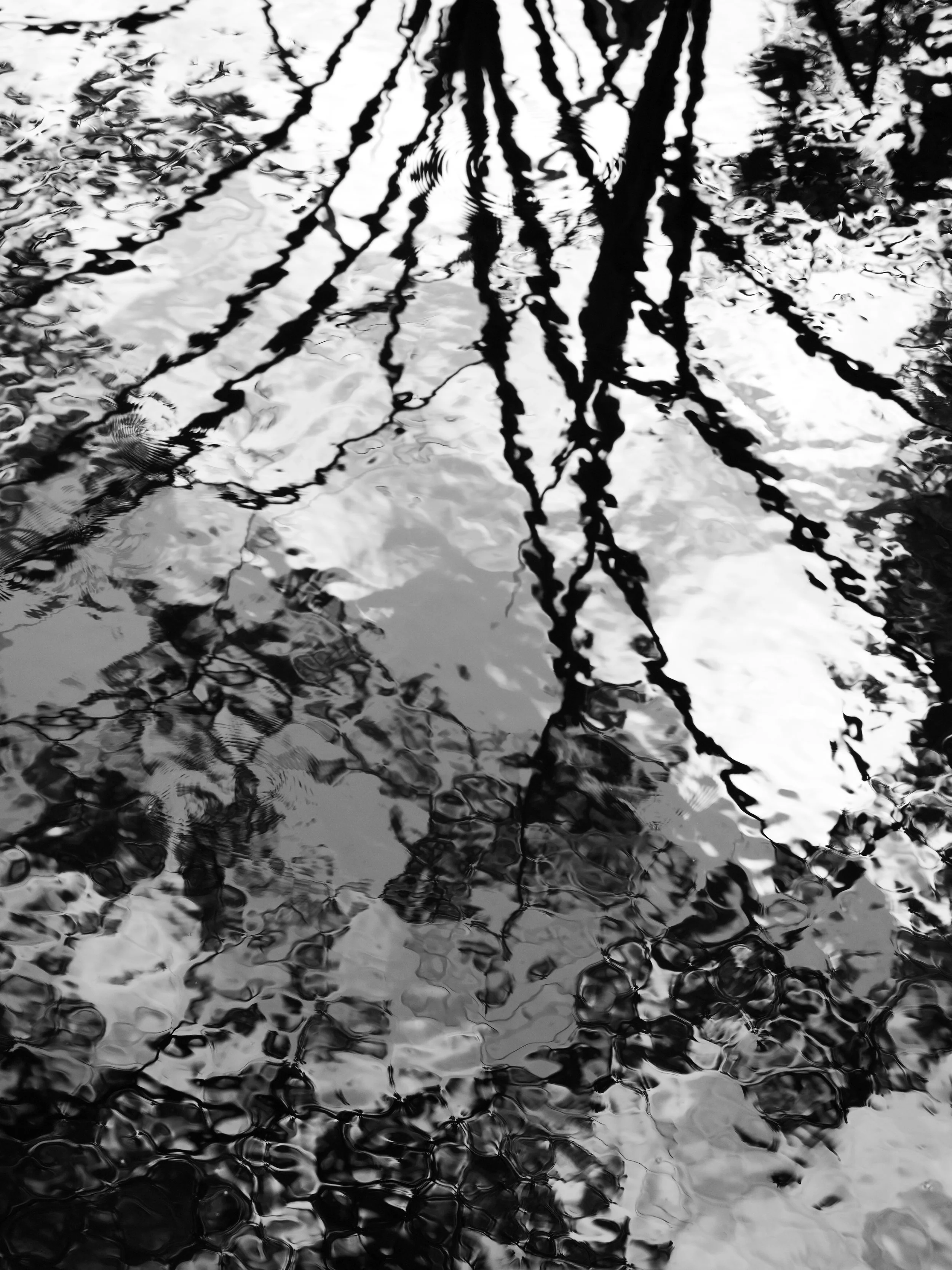 New_MO_Reflections in the Water.JPG