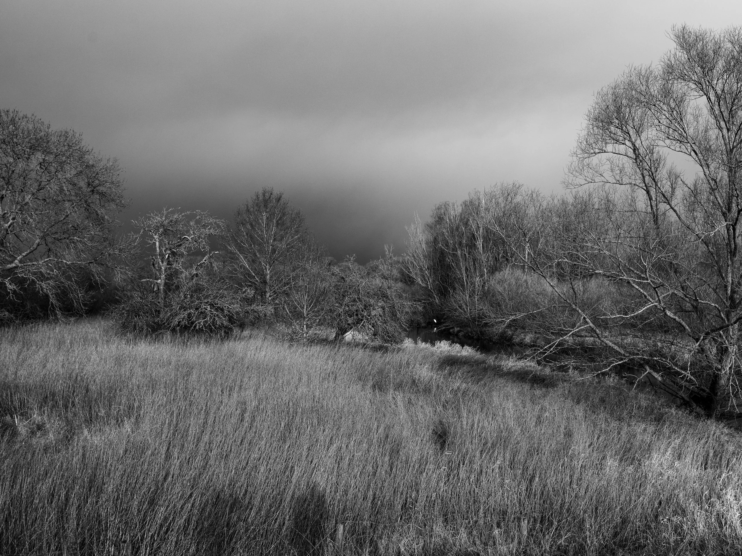 MONO Just Before the Snow Came 4-3.JPG