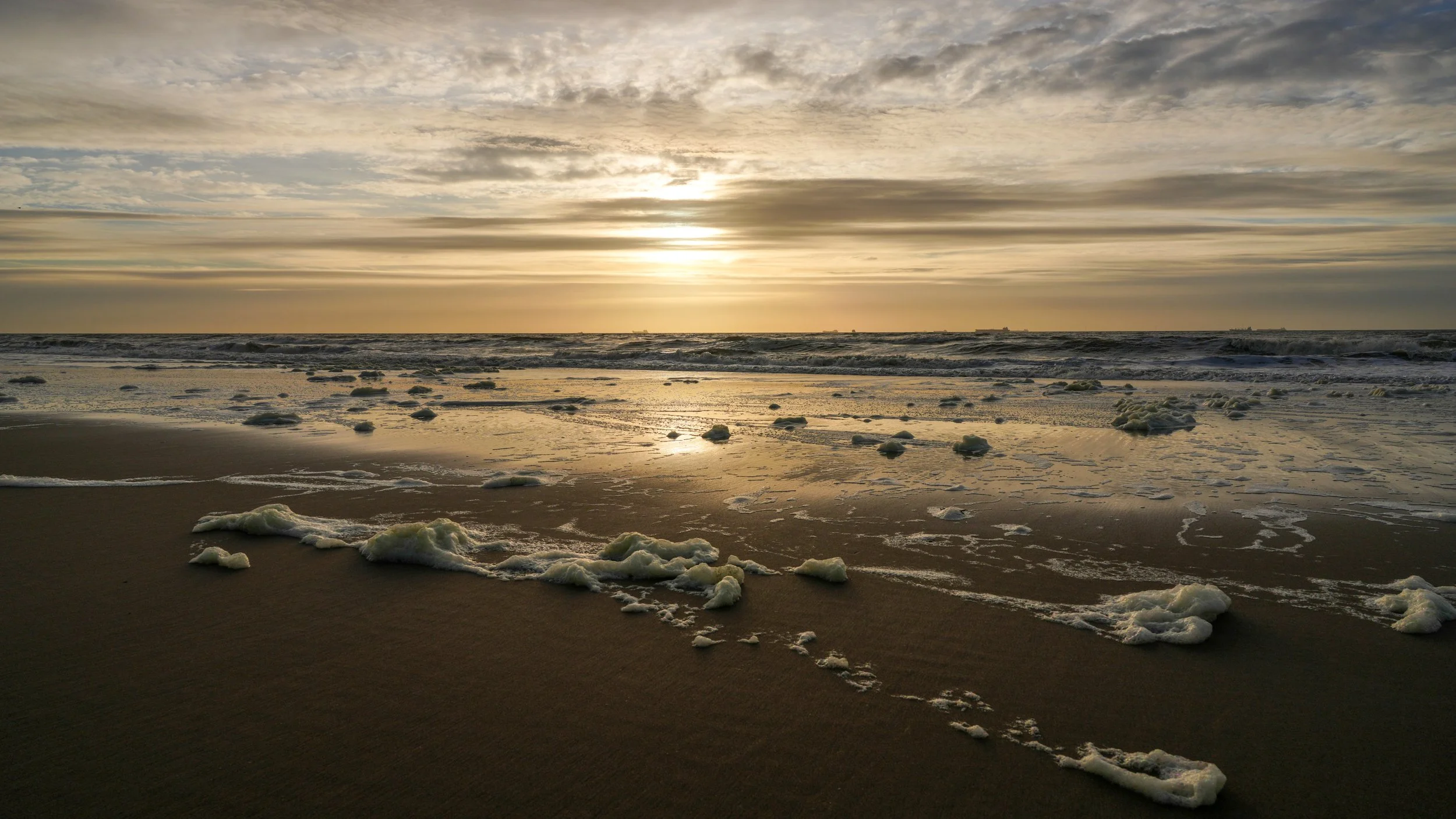 Sunset North Sea Coast Seaside Netherlands Gold Blue 16-9
