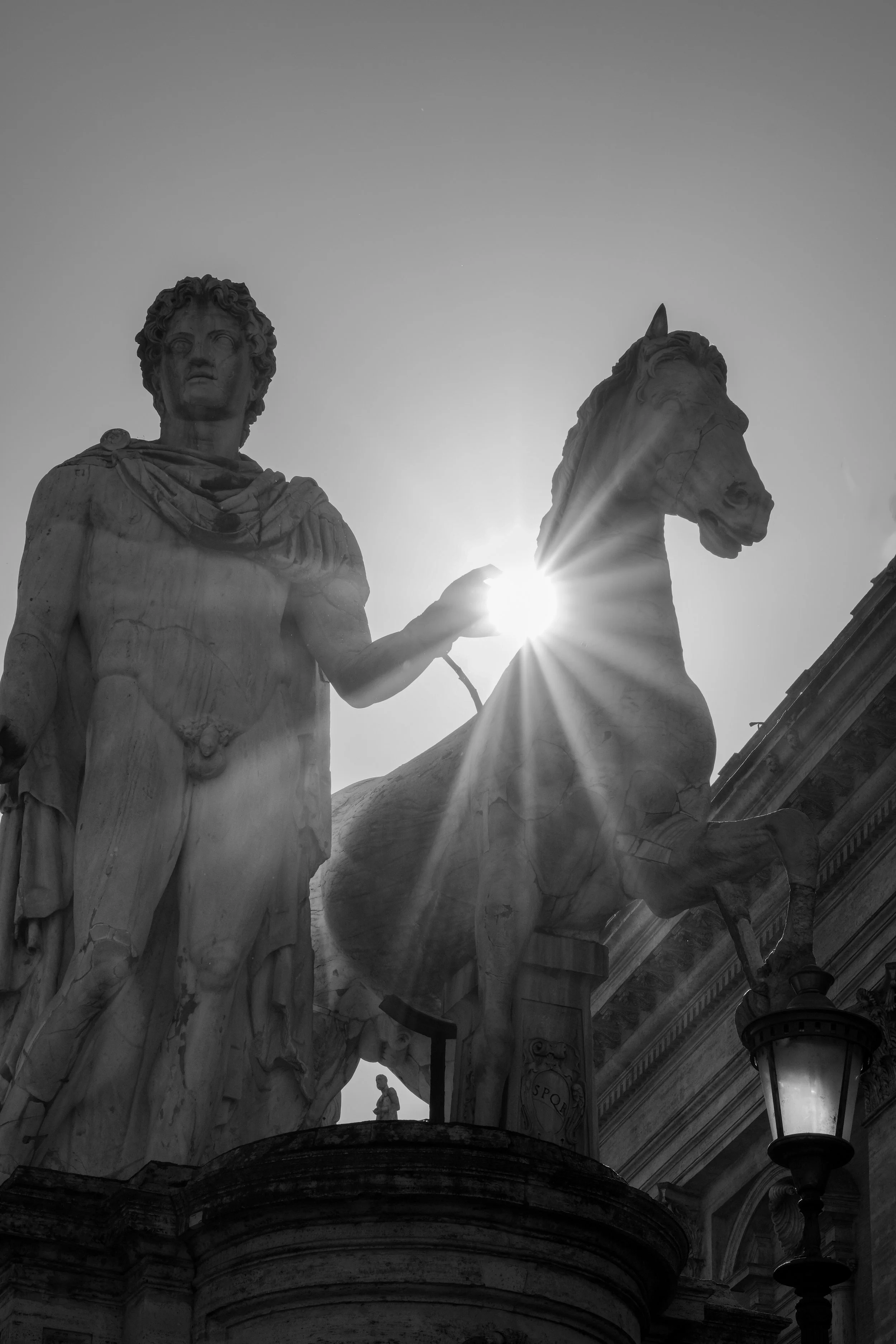 BNW Statue Pollux and Horse Capitoline Hill Rome Italy
