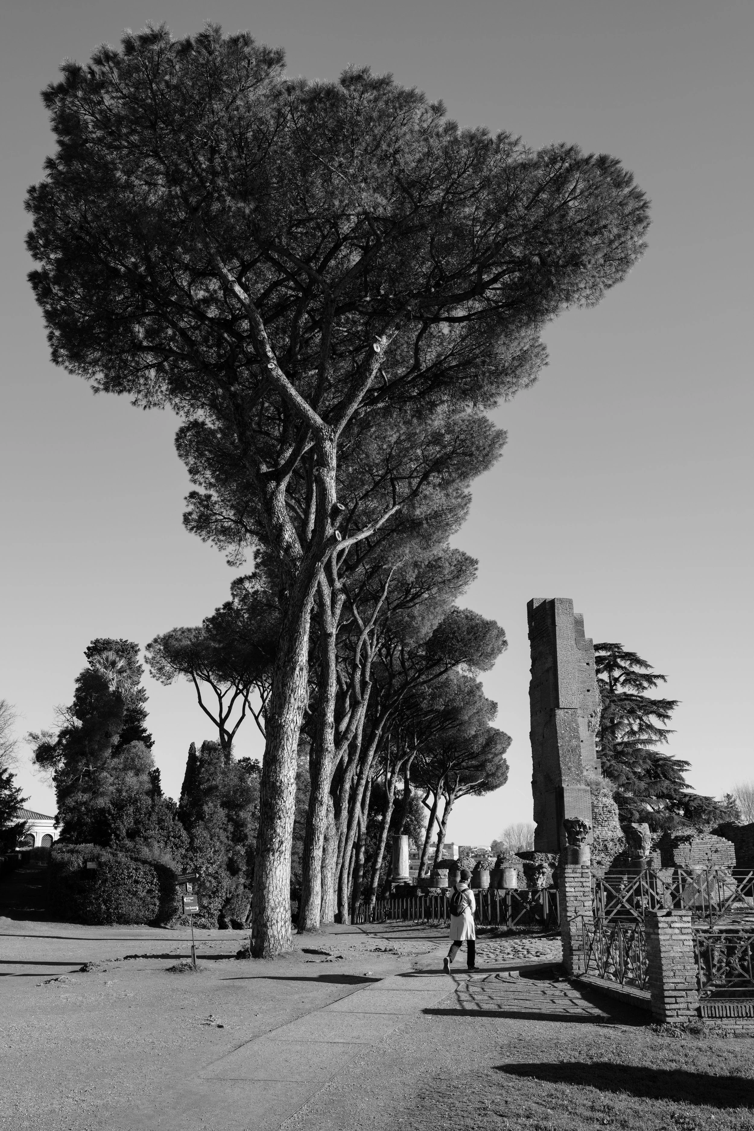 Silhouette Photography BNW Forum Romanum Rome Italy
