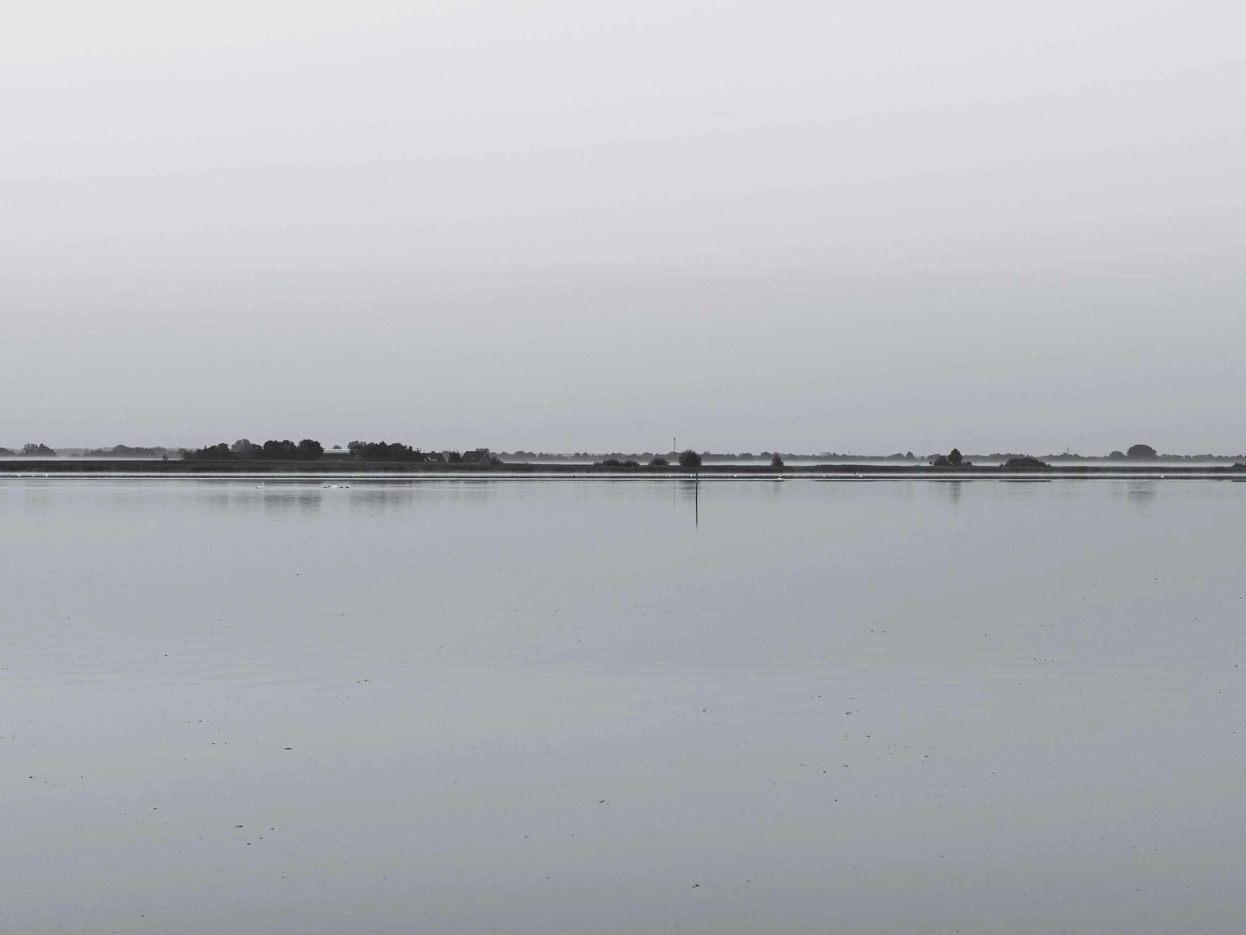 New_MO_5.25 AM at the Lake.JPG