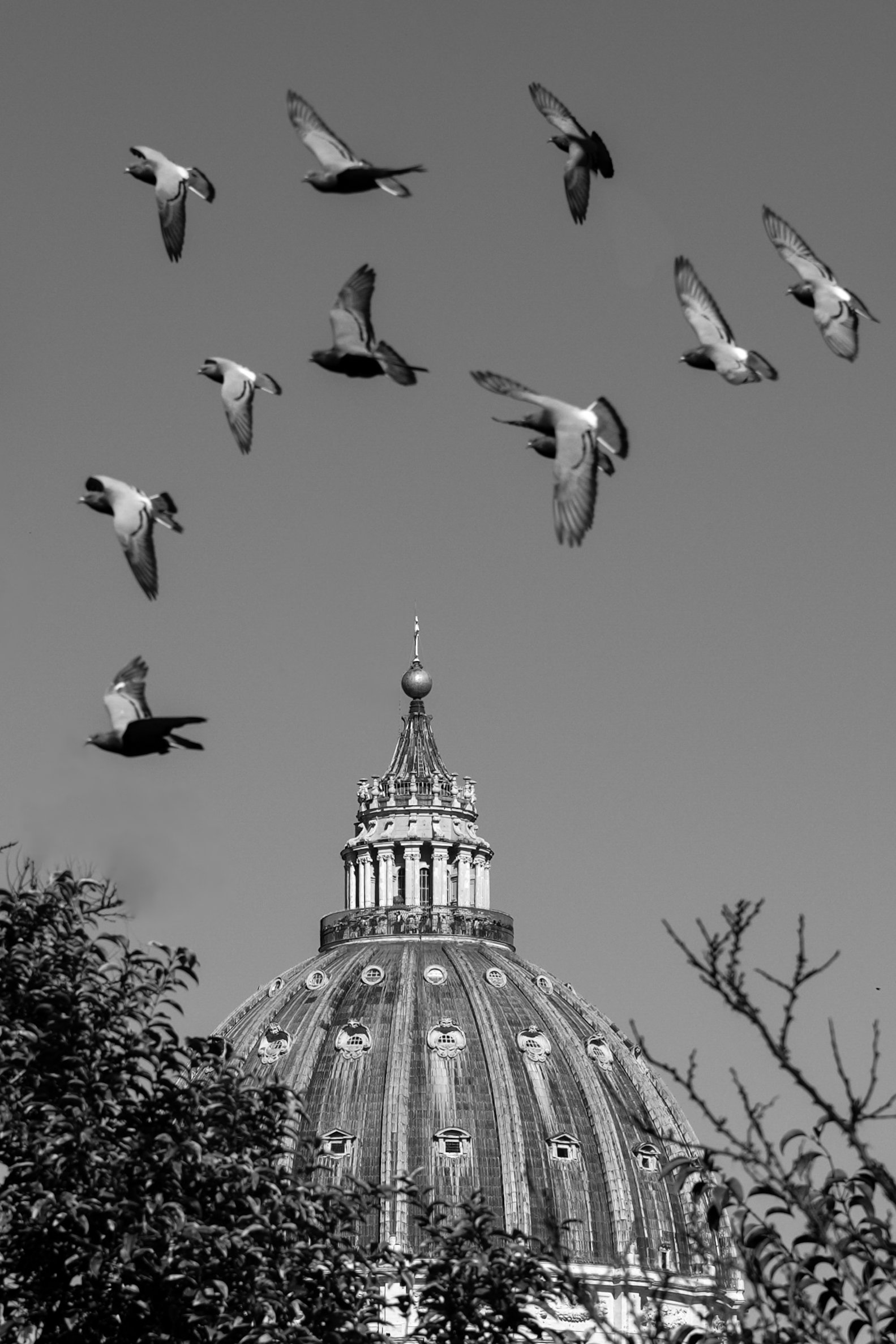 Street View Saint Peter with Doves BNW Rome Italy
