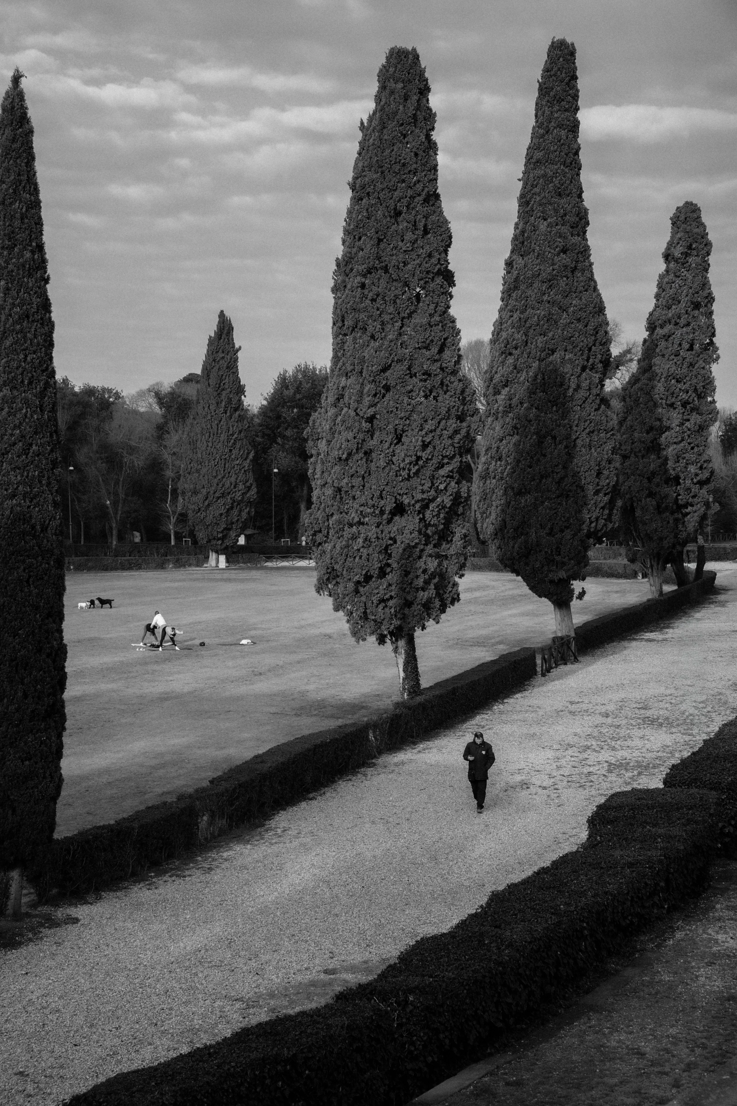 MO_Morning Habits in Villa Borghese.JPG