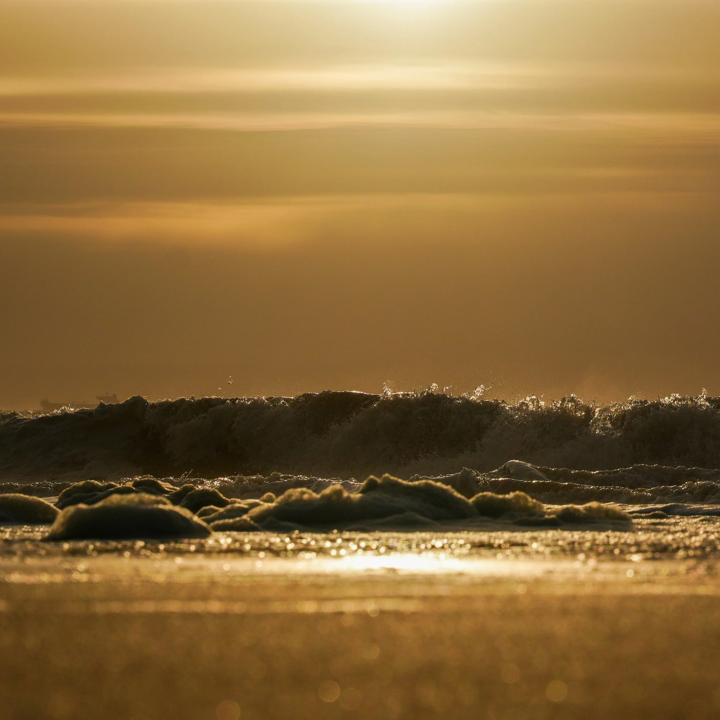 Sunset North Sea Coast Seaside Netherlands Gold Splash 1x1
