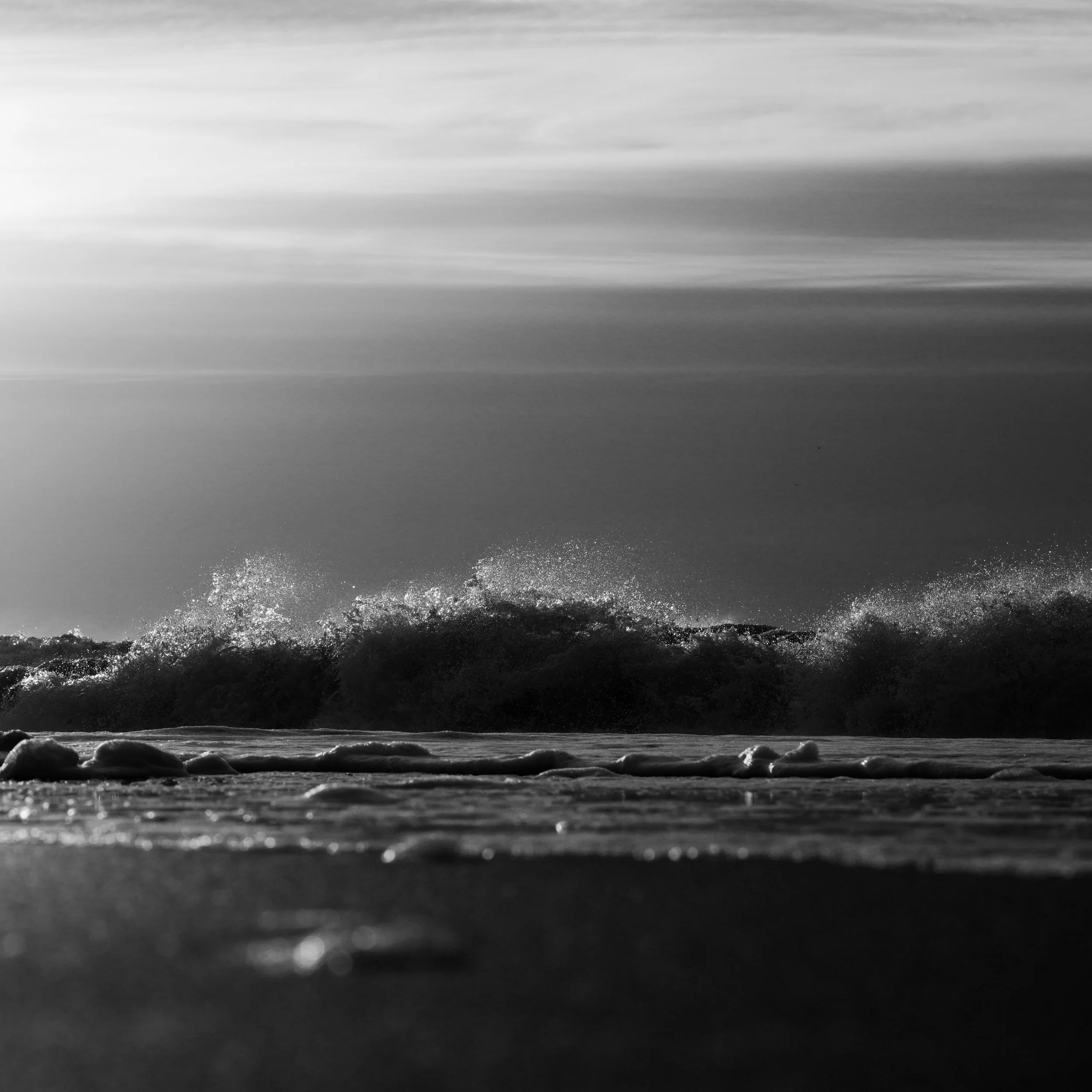 Sunset North Sea Coast Netherlands BNW 1x1.JPG