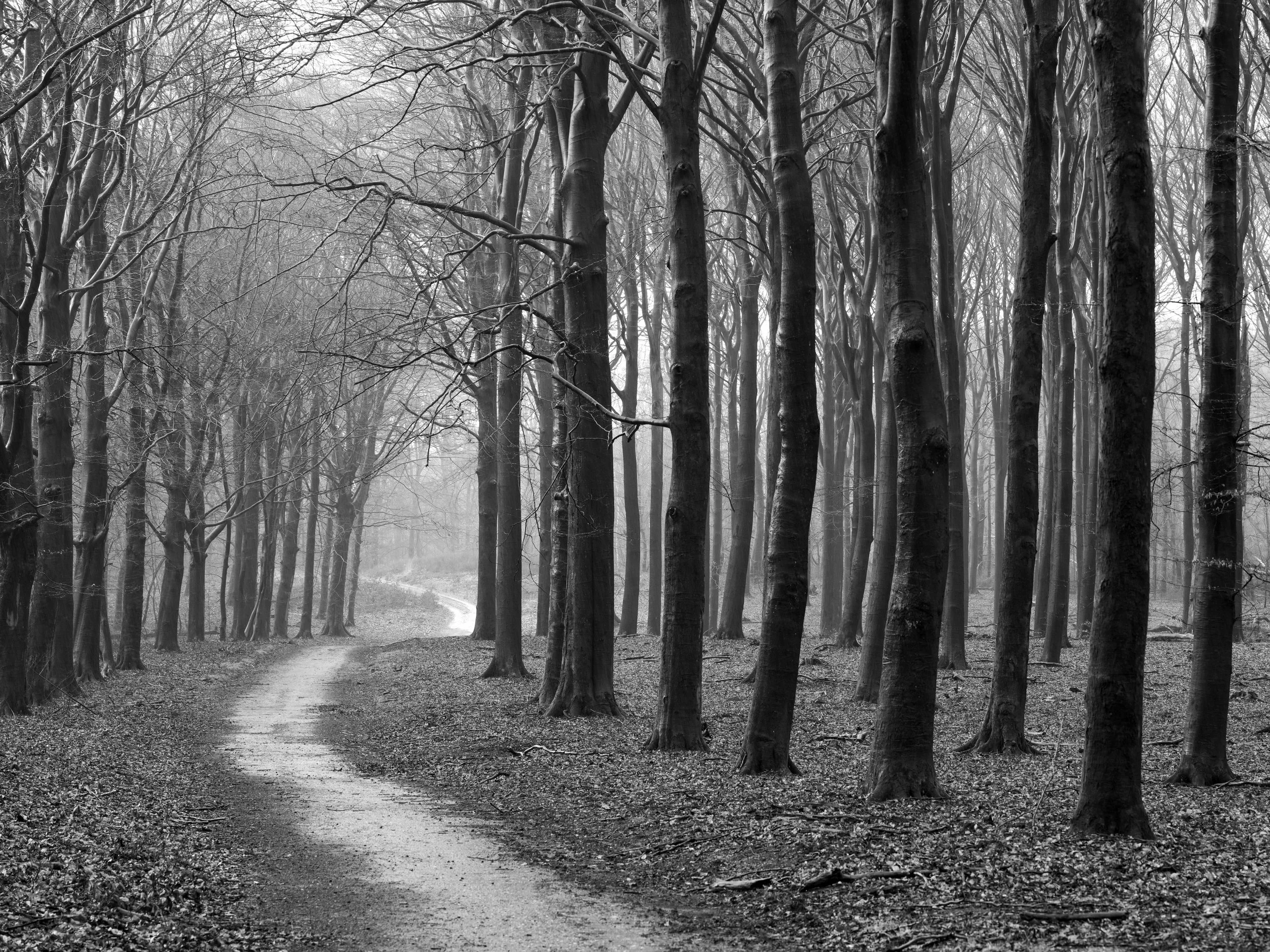 4-3 The Temptation of a Future Unknown.jpeg