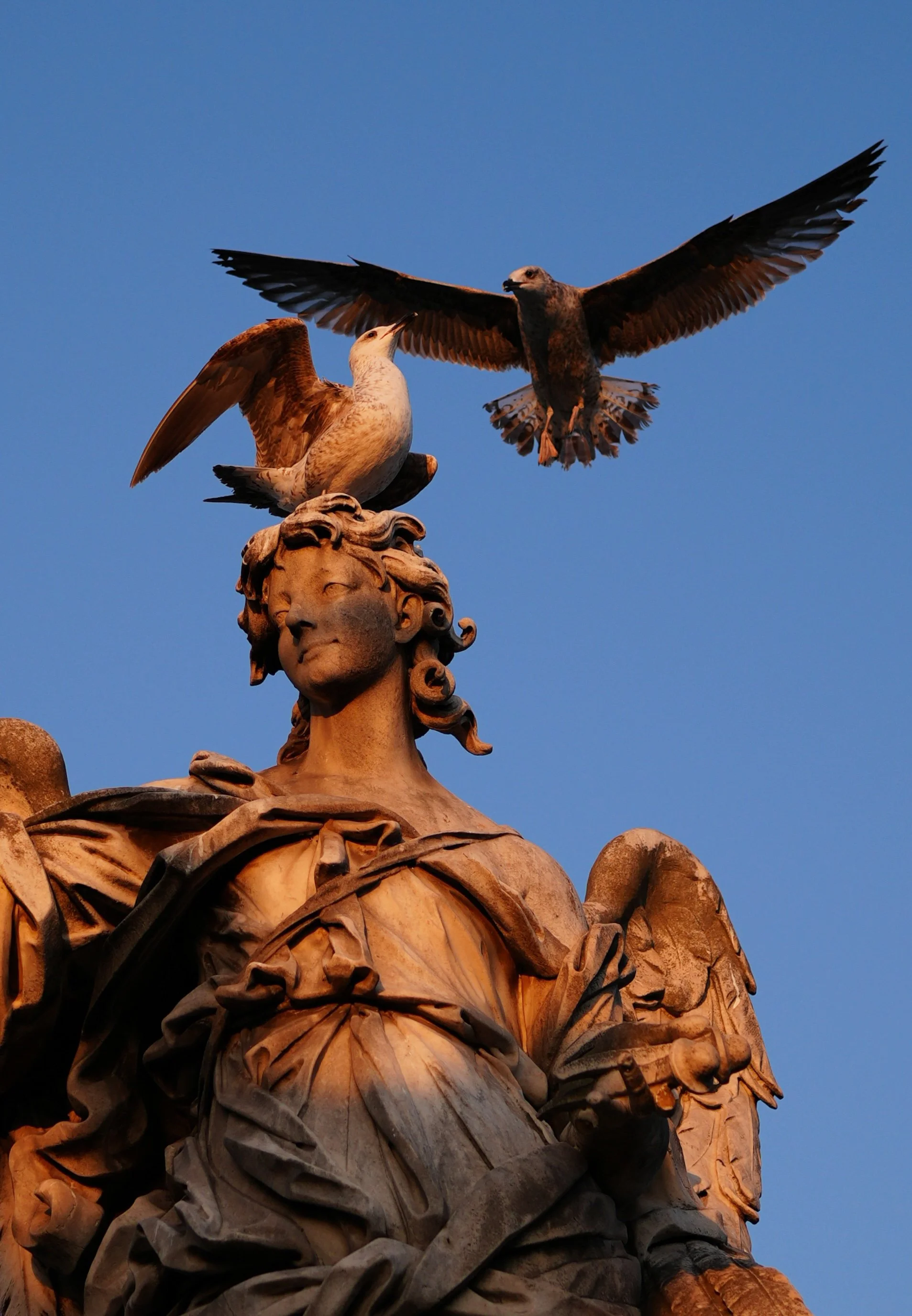 Sculpture Angel on Ponte di Sant_Angelo Rome Italy 4
