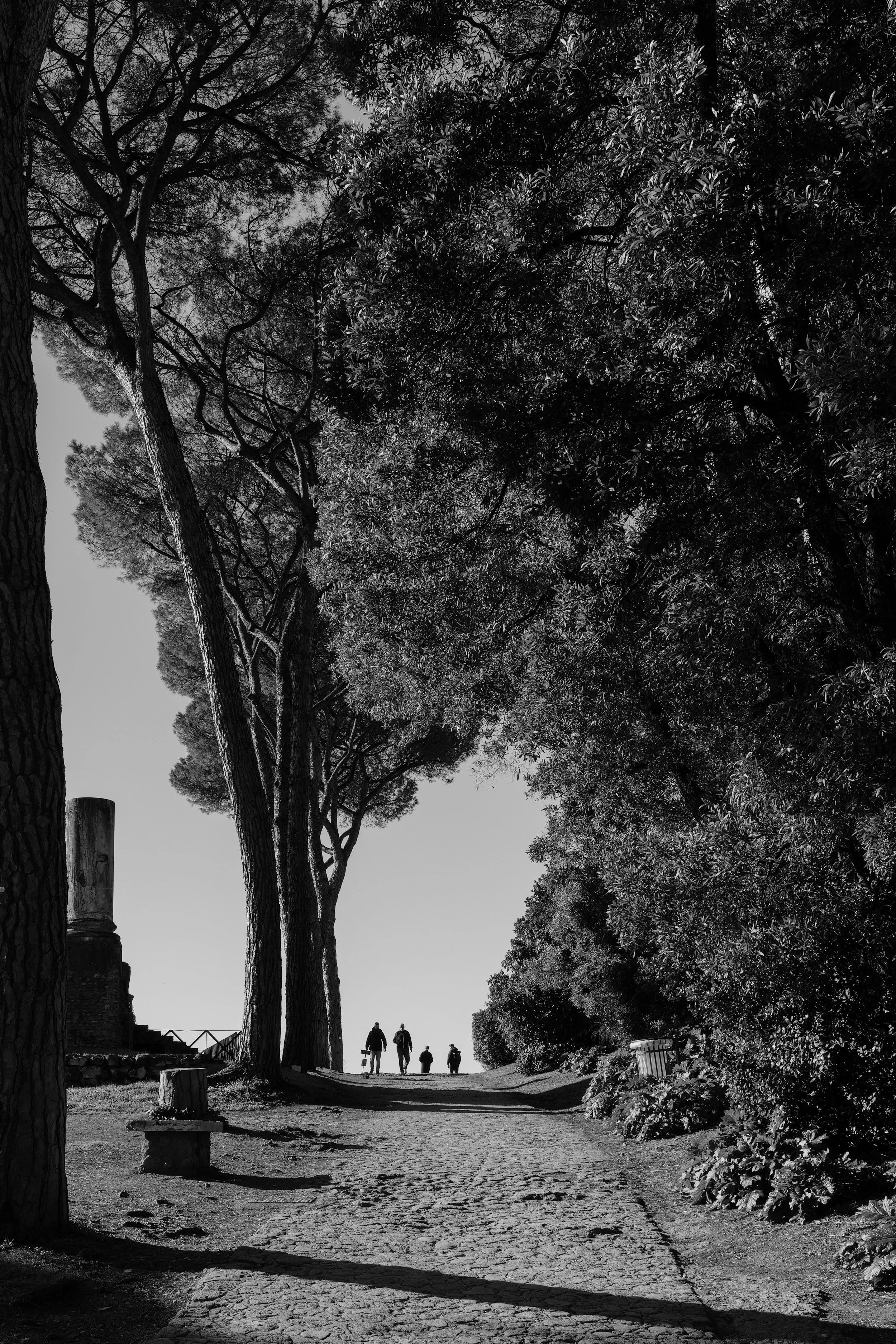 Silhouette Photography Palatine Hill Rome Italy
