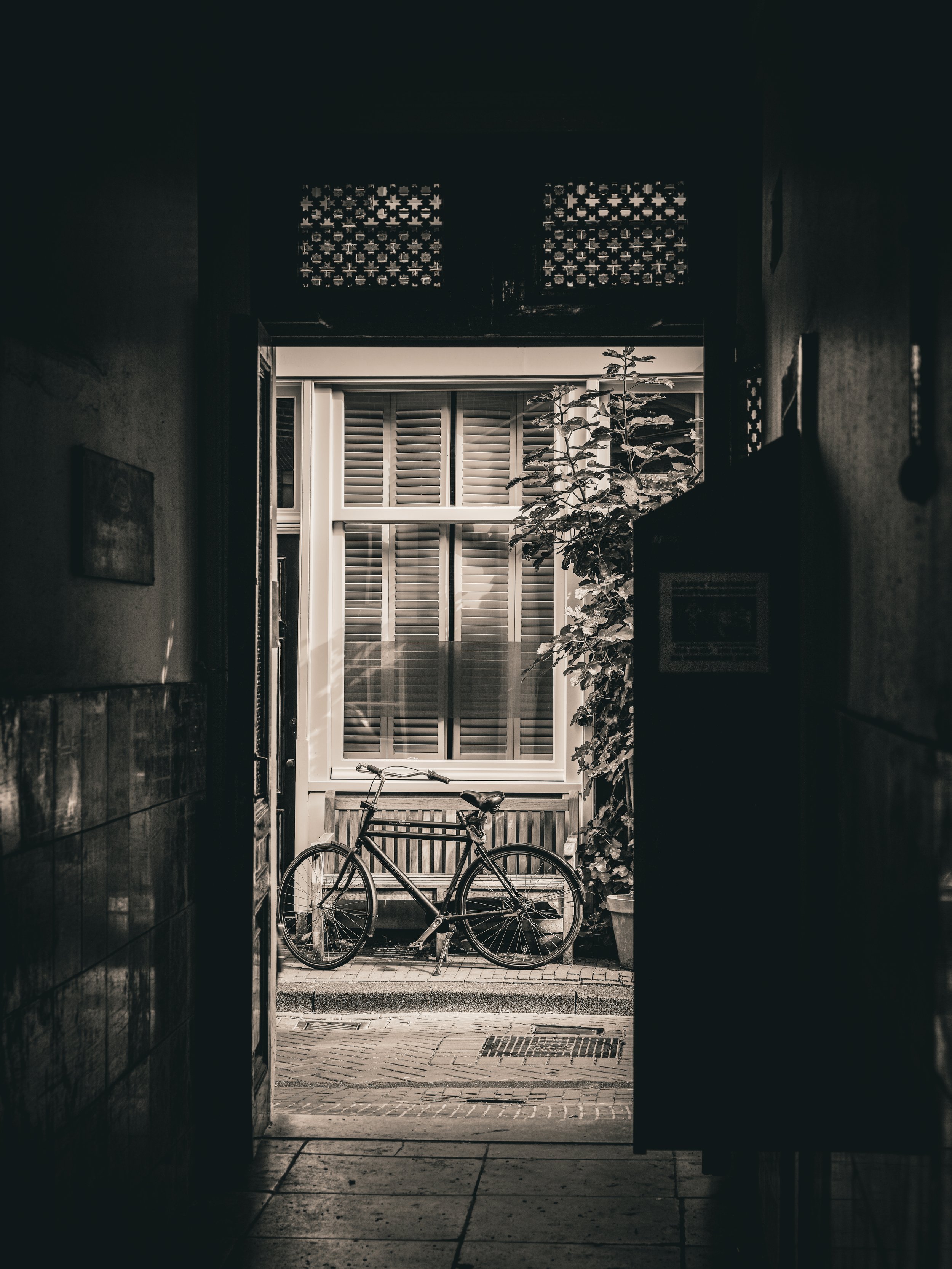 New_SL_The Temptation of Riding a Bike in Amsterdam.JPG