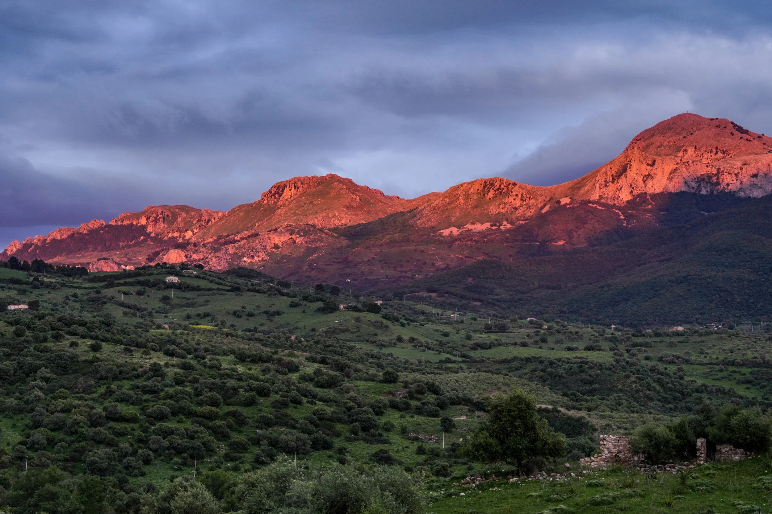 IL_Sicilian Sunset.JPG