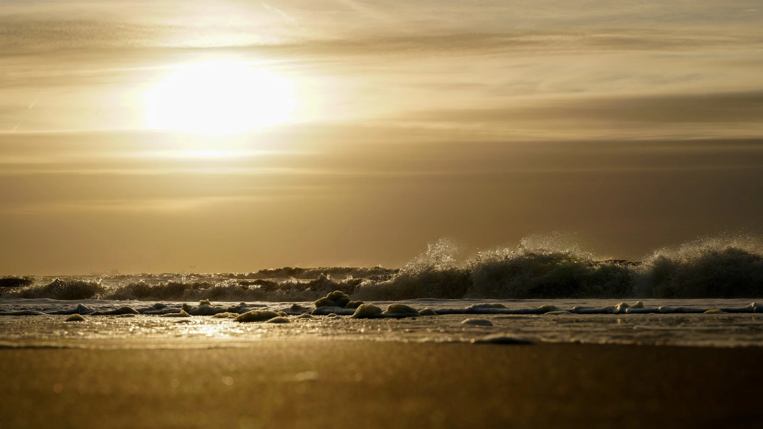 Sunset North Sea Coast Seaside Netherlands Gold 16x9.JPG