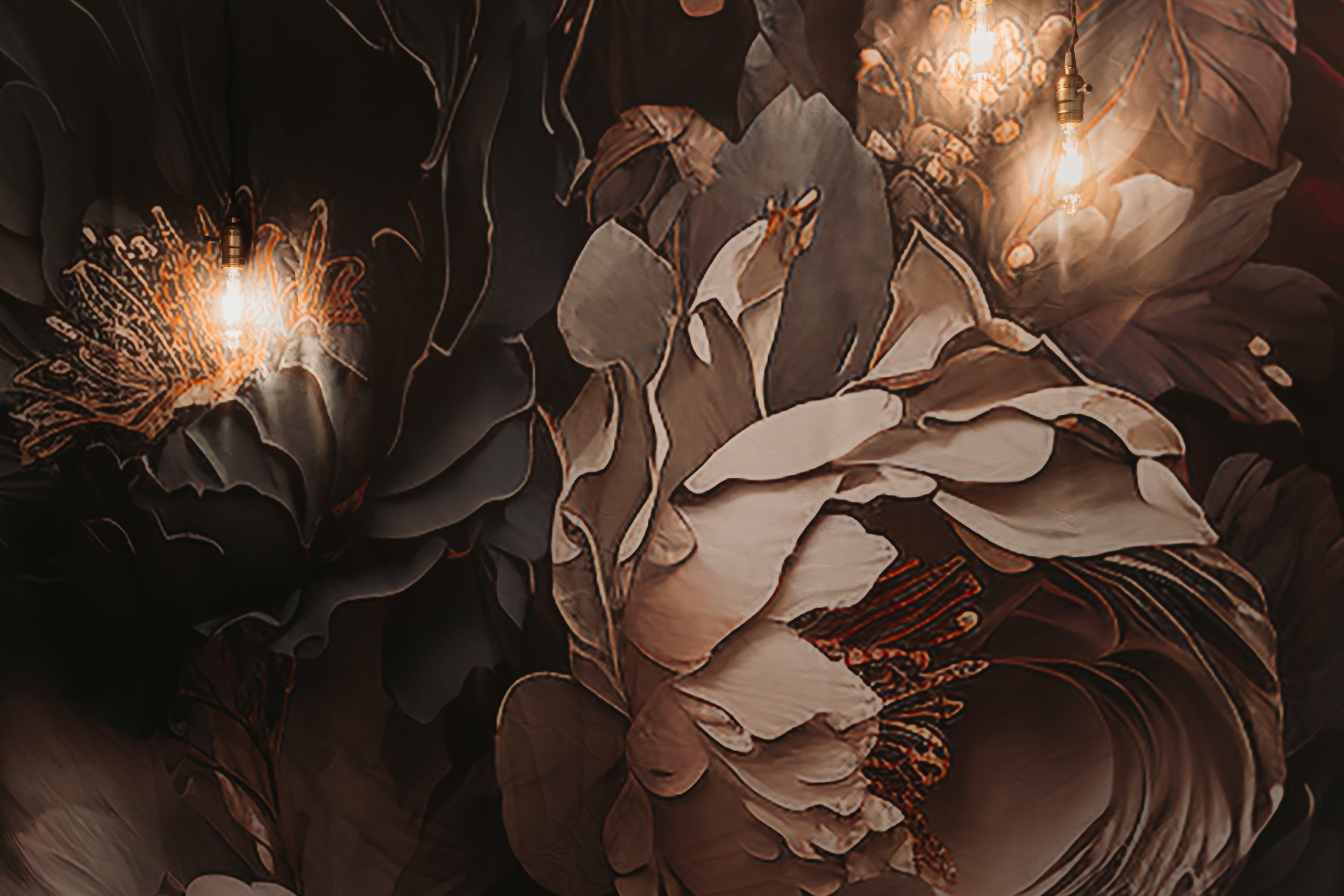 885A5127-Enhanced-NR.jpg