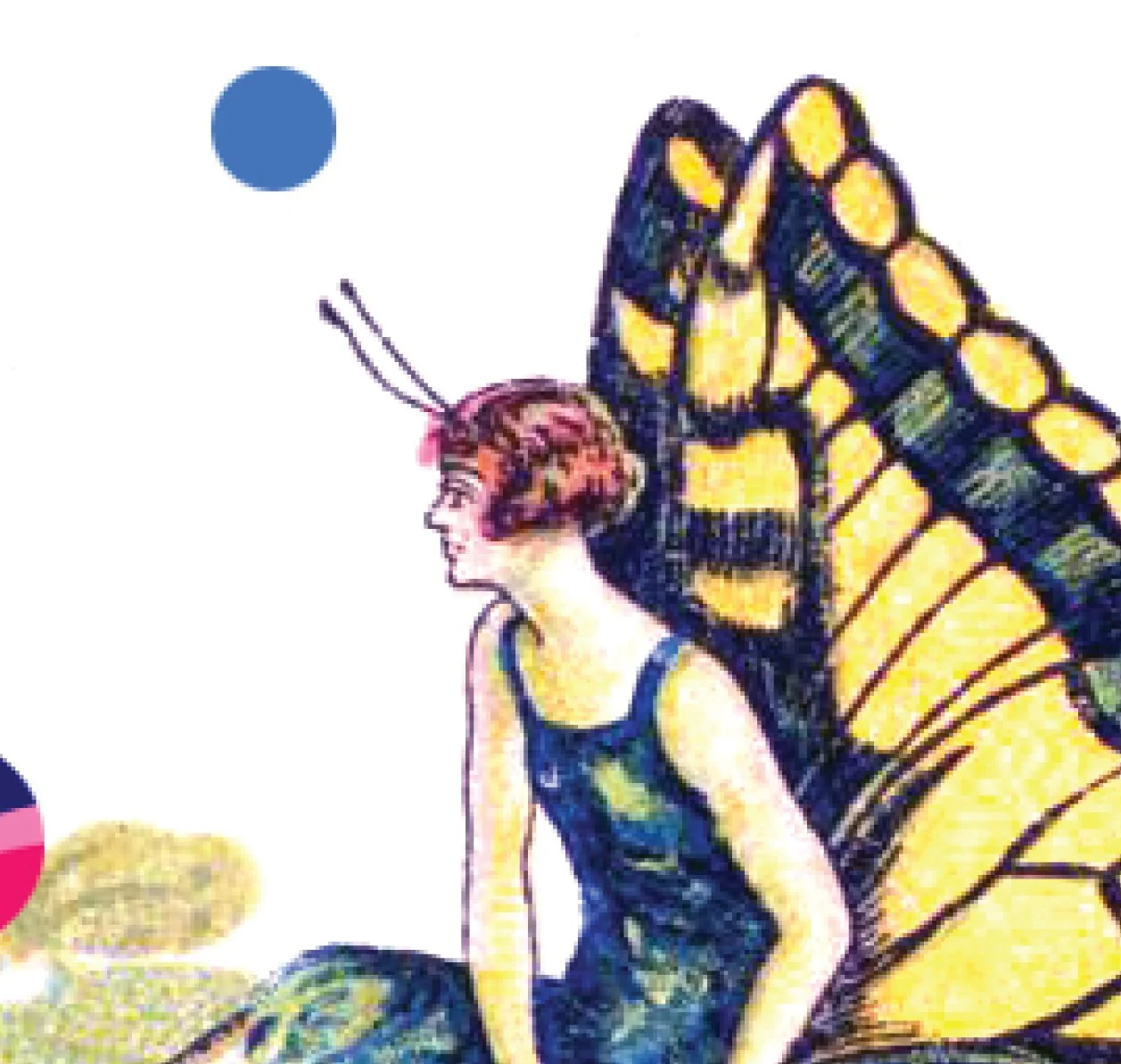 01_swallowtailbutterfly_07.jpg