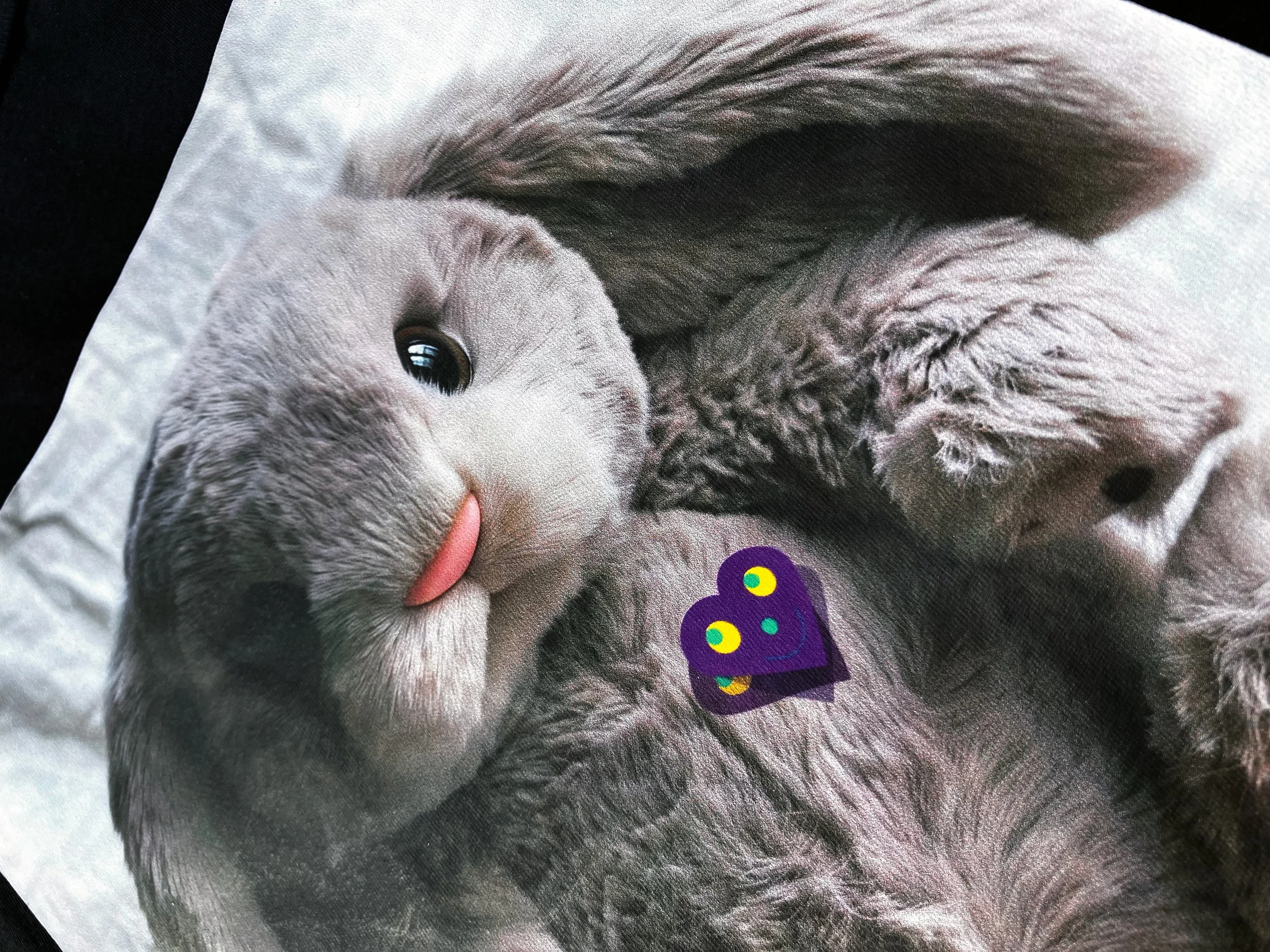 Rabbit01.jpg