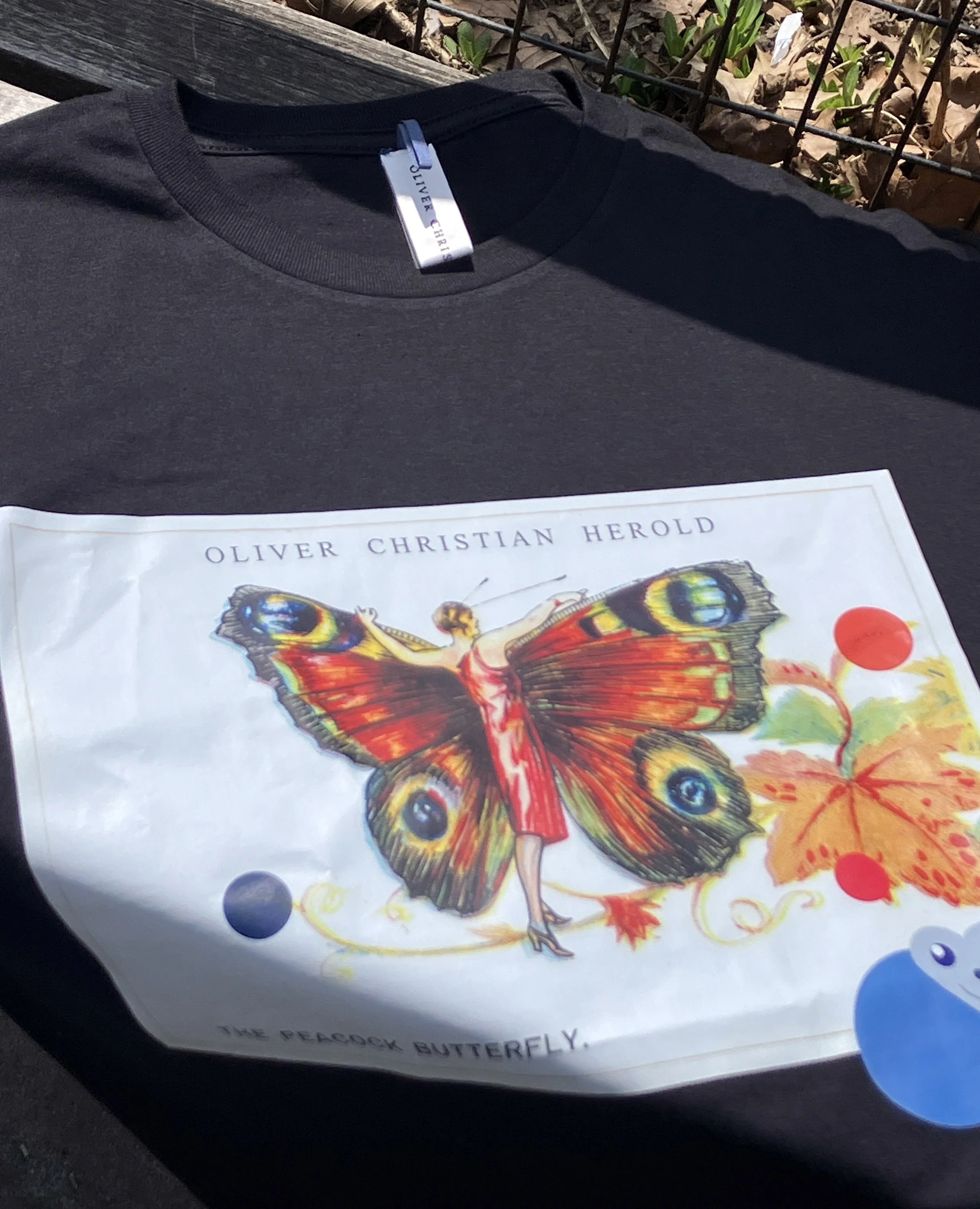 02_PeacockButterfly_03.jpg