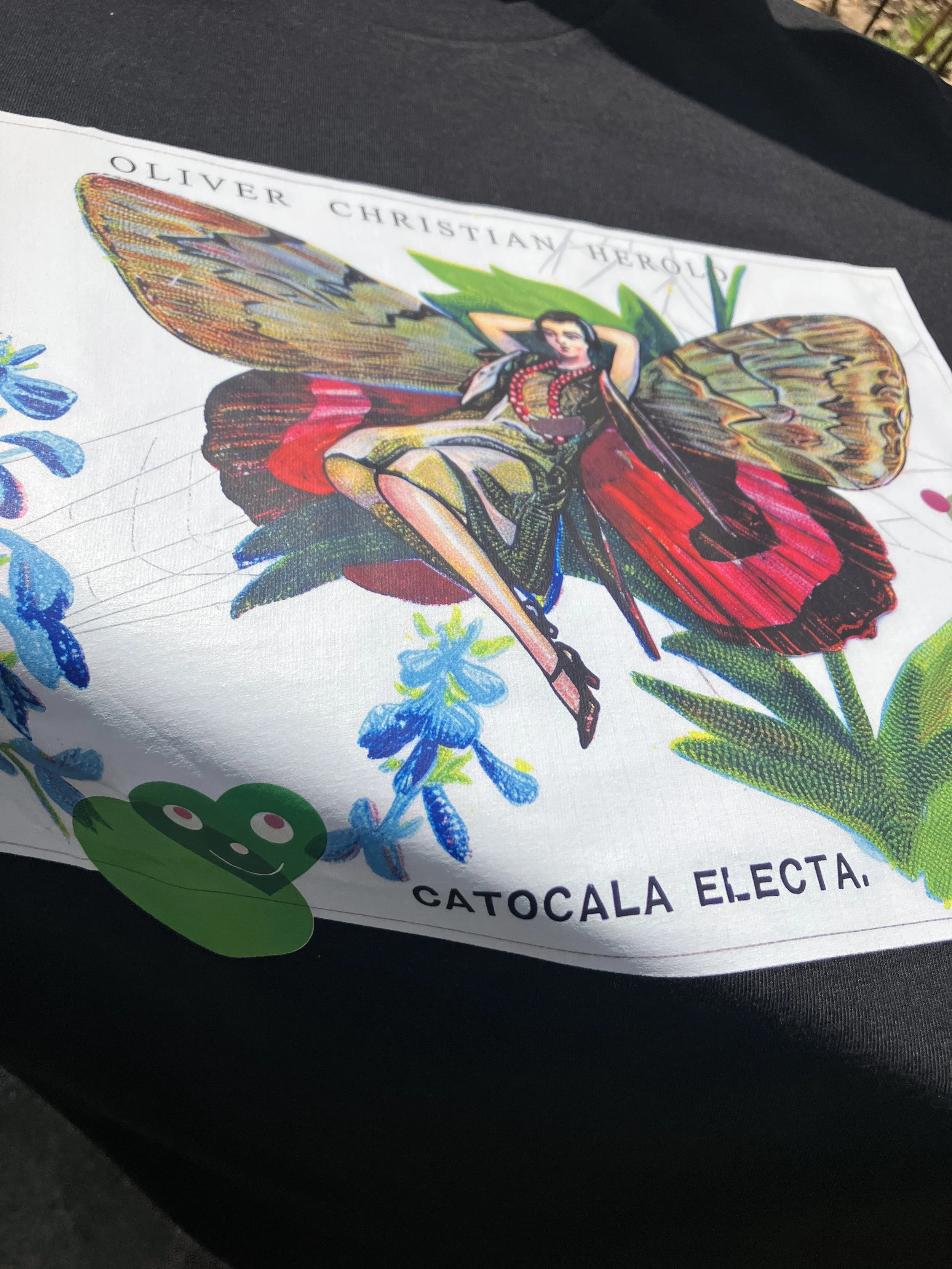 05_CatocalElecta_03.jpg