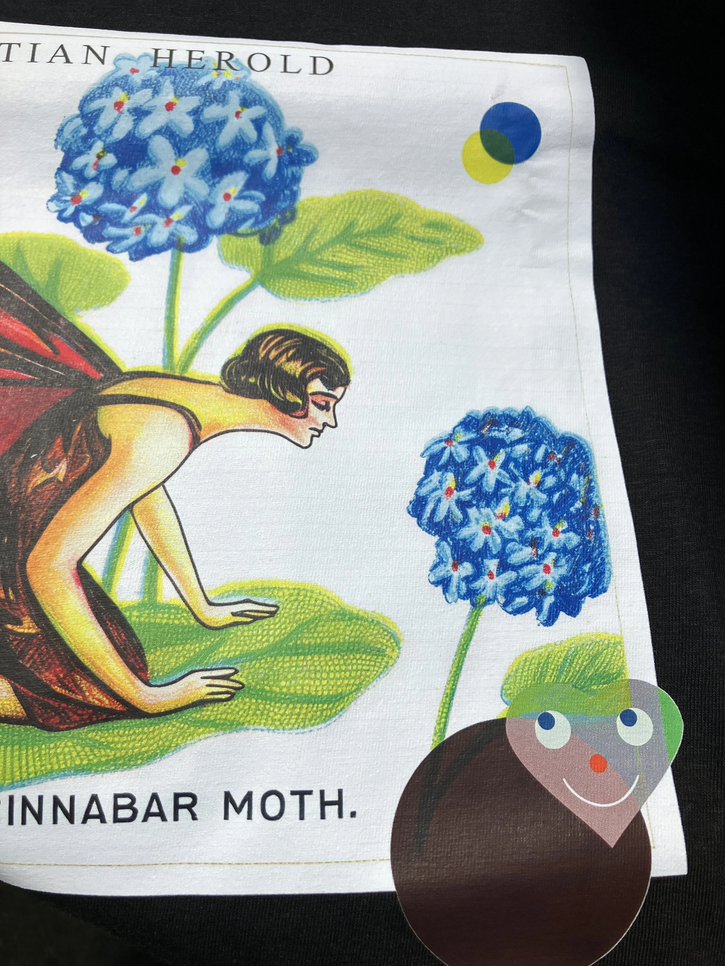 06_CinnebarMoth02.jpg
