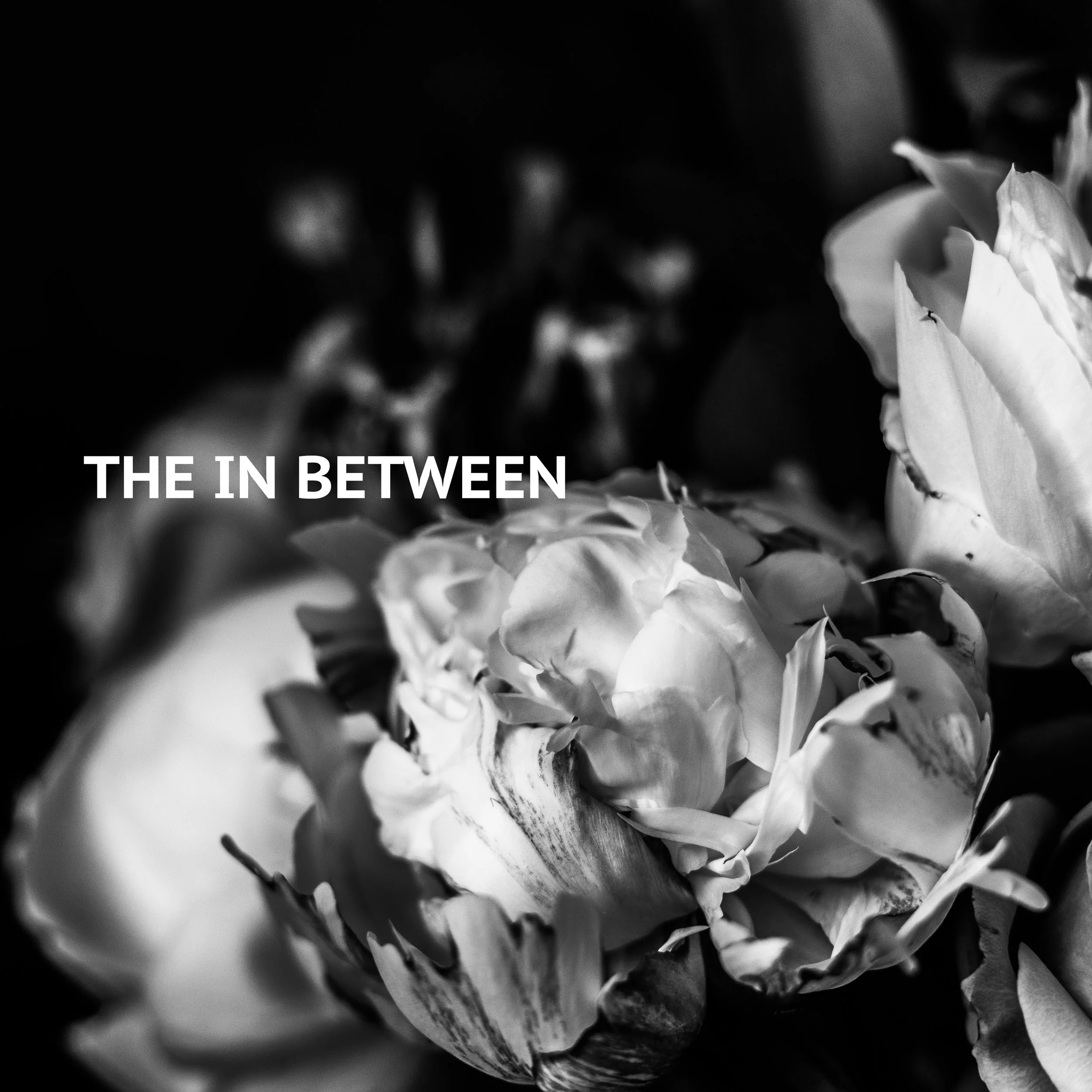 The In Between