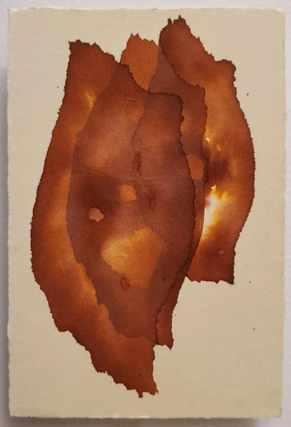 unnamed-4.jpg