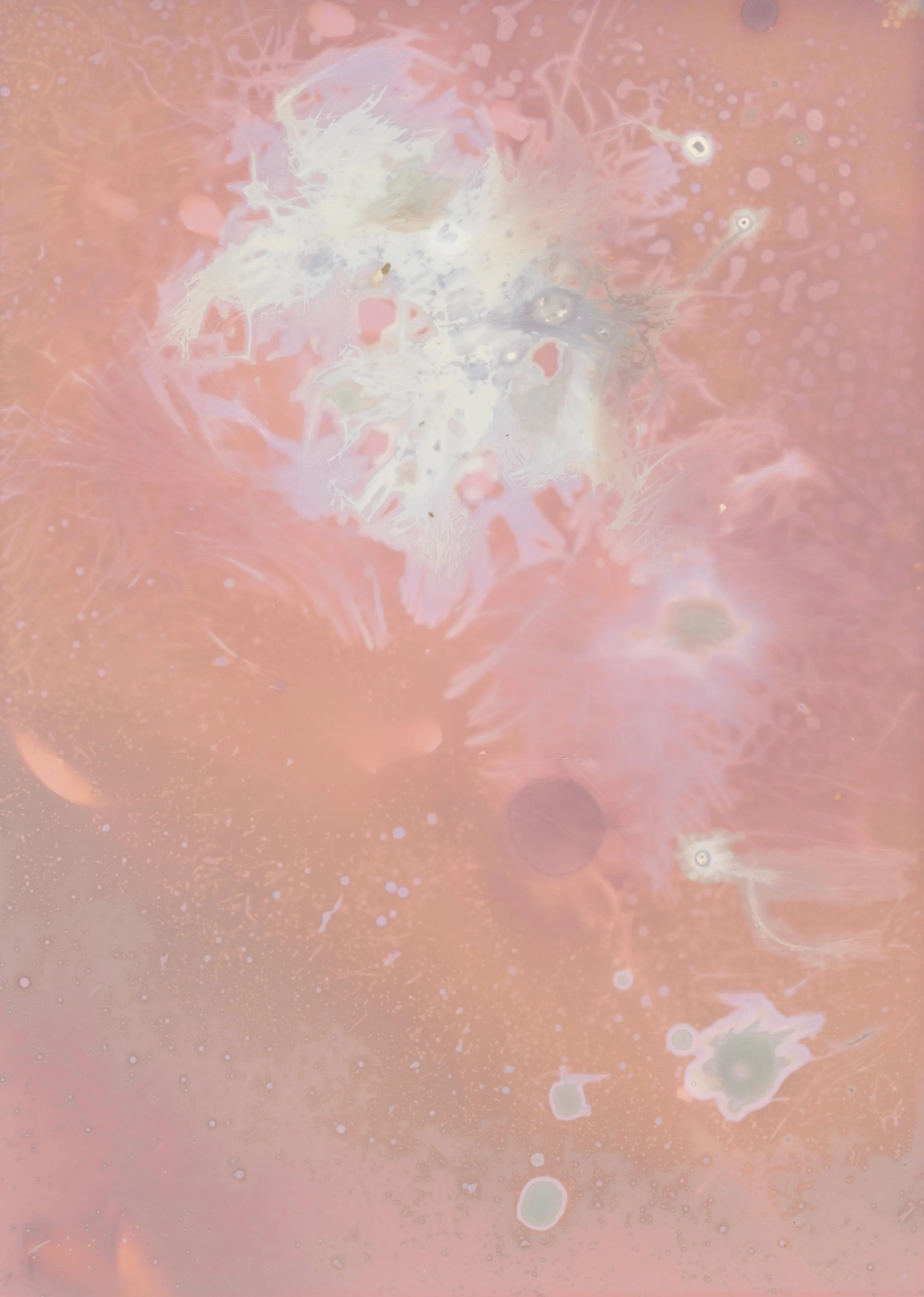 unnamed-3.jpg