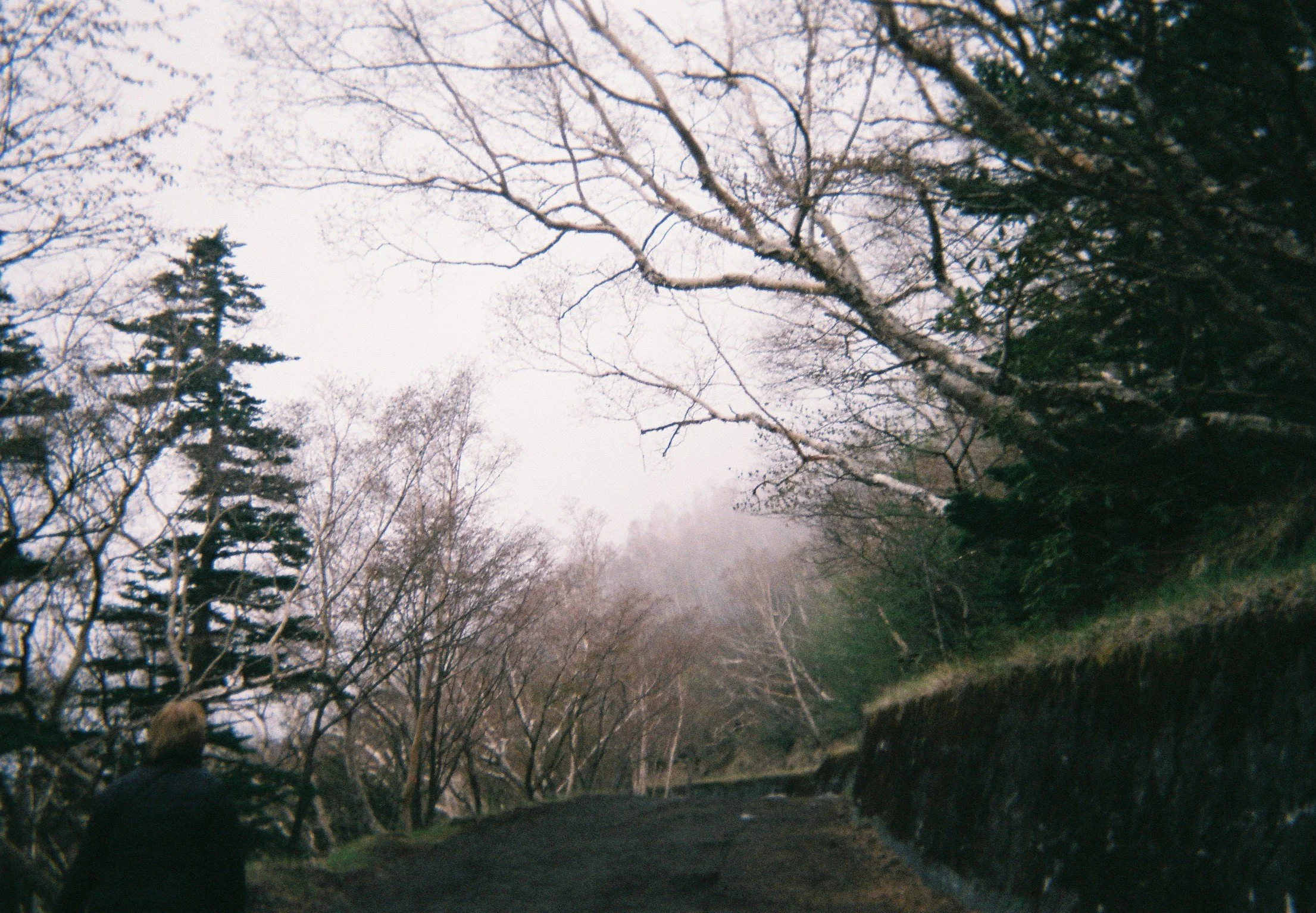 Why clarity is often a form of erasure