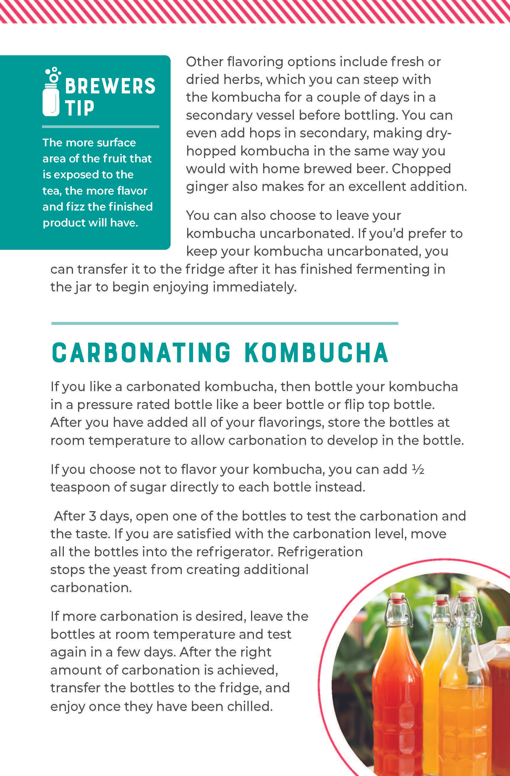 kombucha_INSTRUX_FINAL_Page_5.jpg
