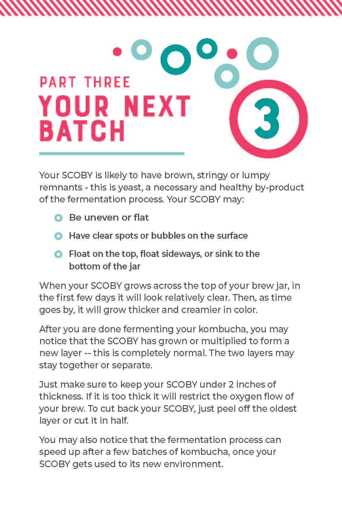 kombucha_INSTRUX_FINAL_Page_6.jpg
