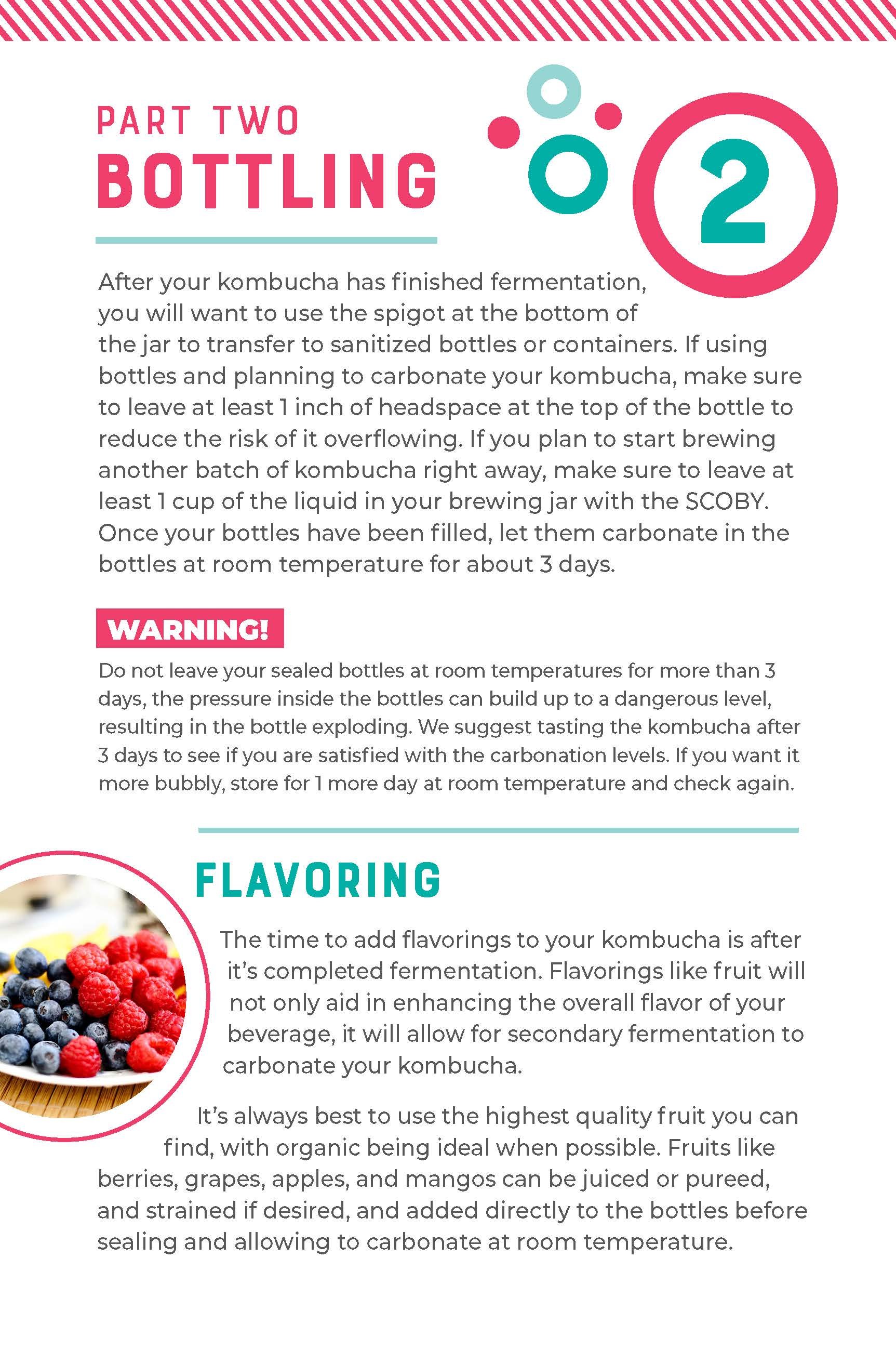 kombucha_INSTRUX_FINAL_Page_4.jpg