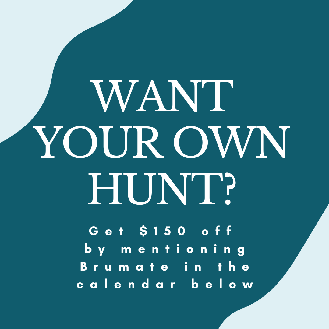 Copy of Coming Soon.png