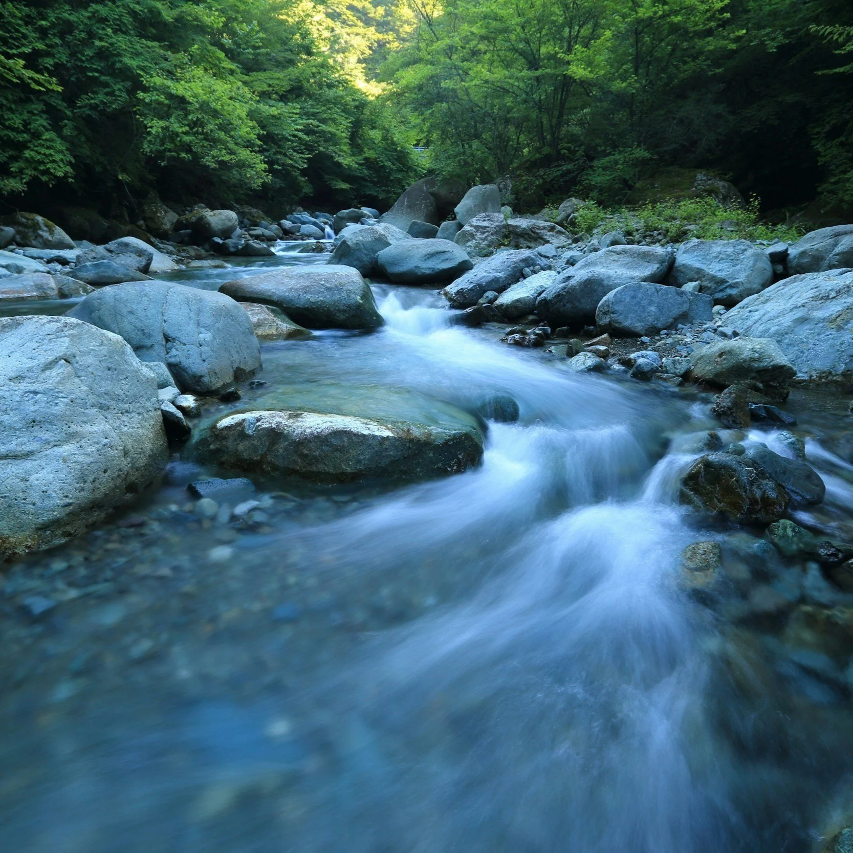 River+with+boulders+and+beautiful+trees.jpg