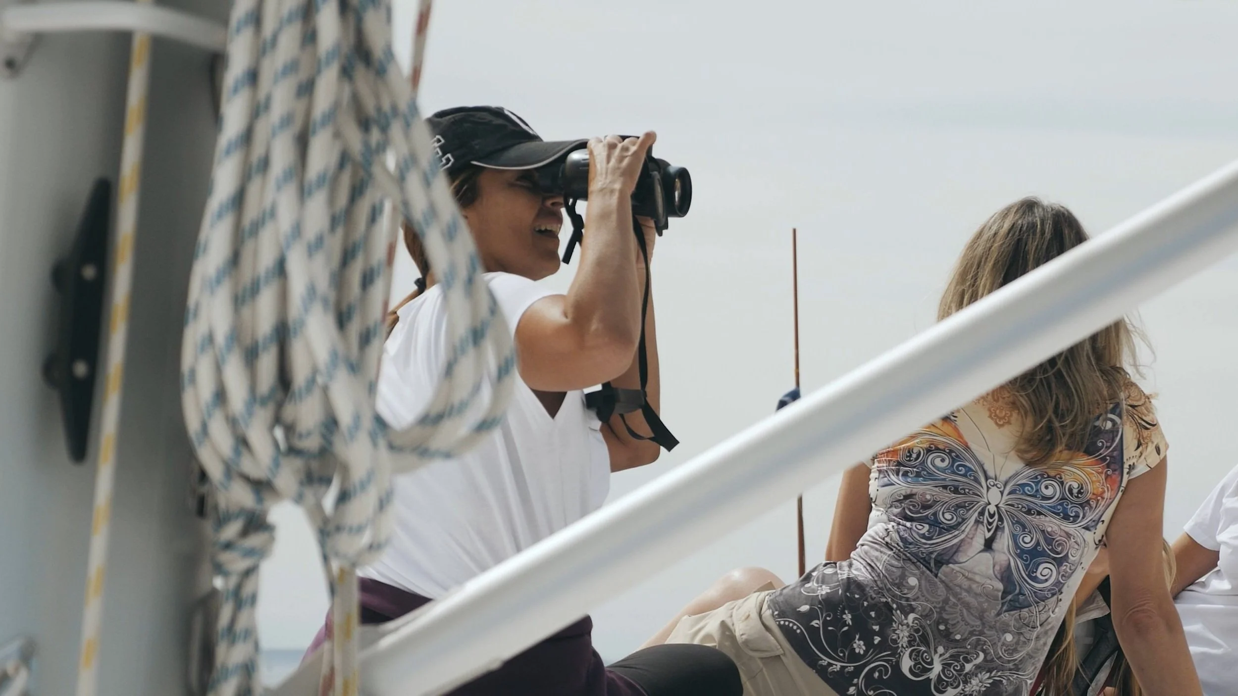 Sailboat Coach Direction Find.jpg