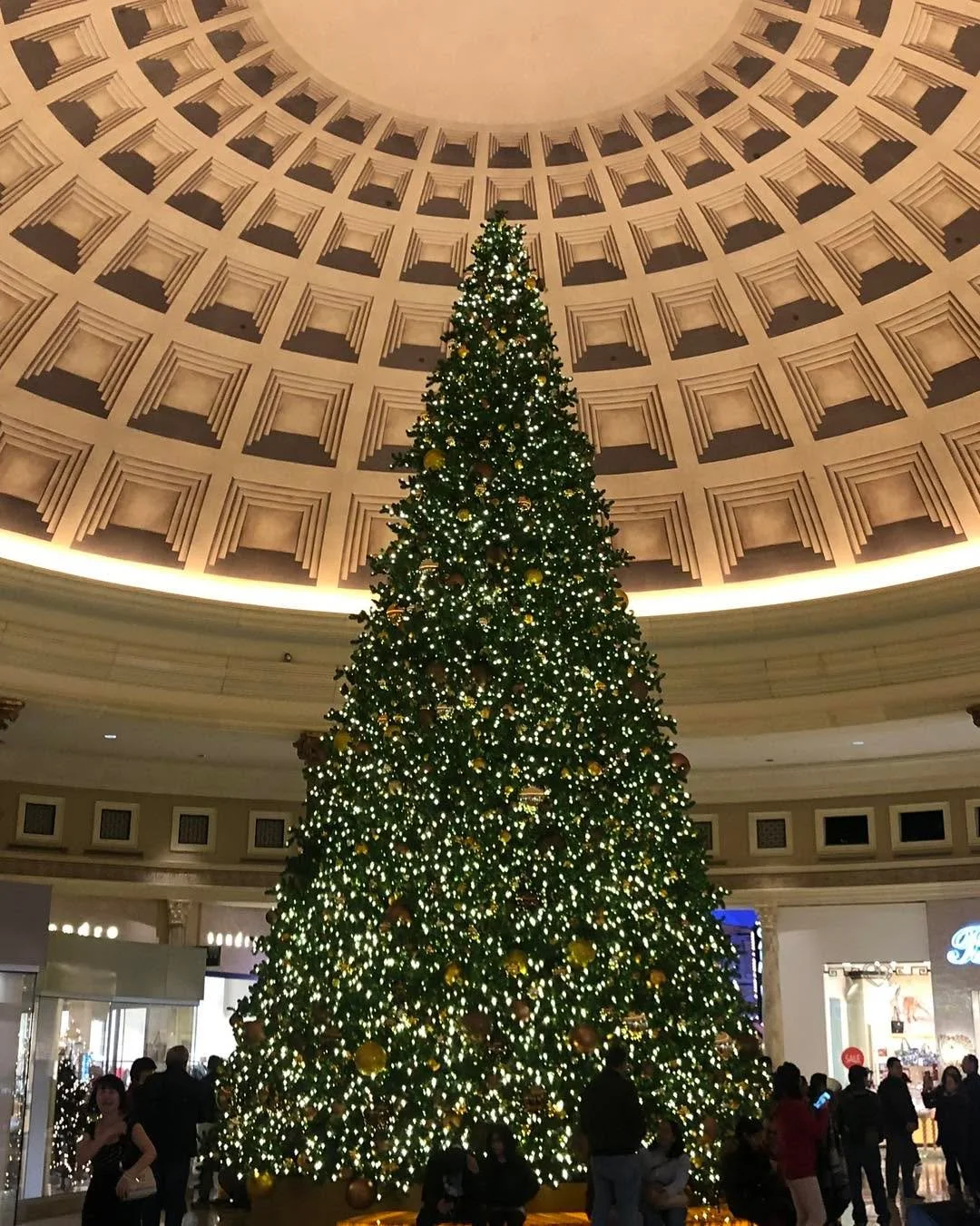 If you haven't started thinking about your plans for Thanksgiving and the holidays, it's not too late! 

It may still feel like summer for most of us, but the holidays will be here before we know it!