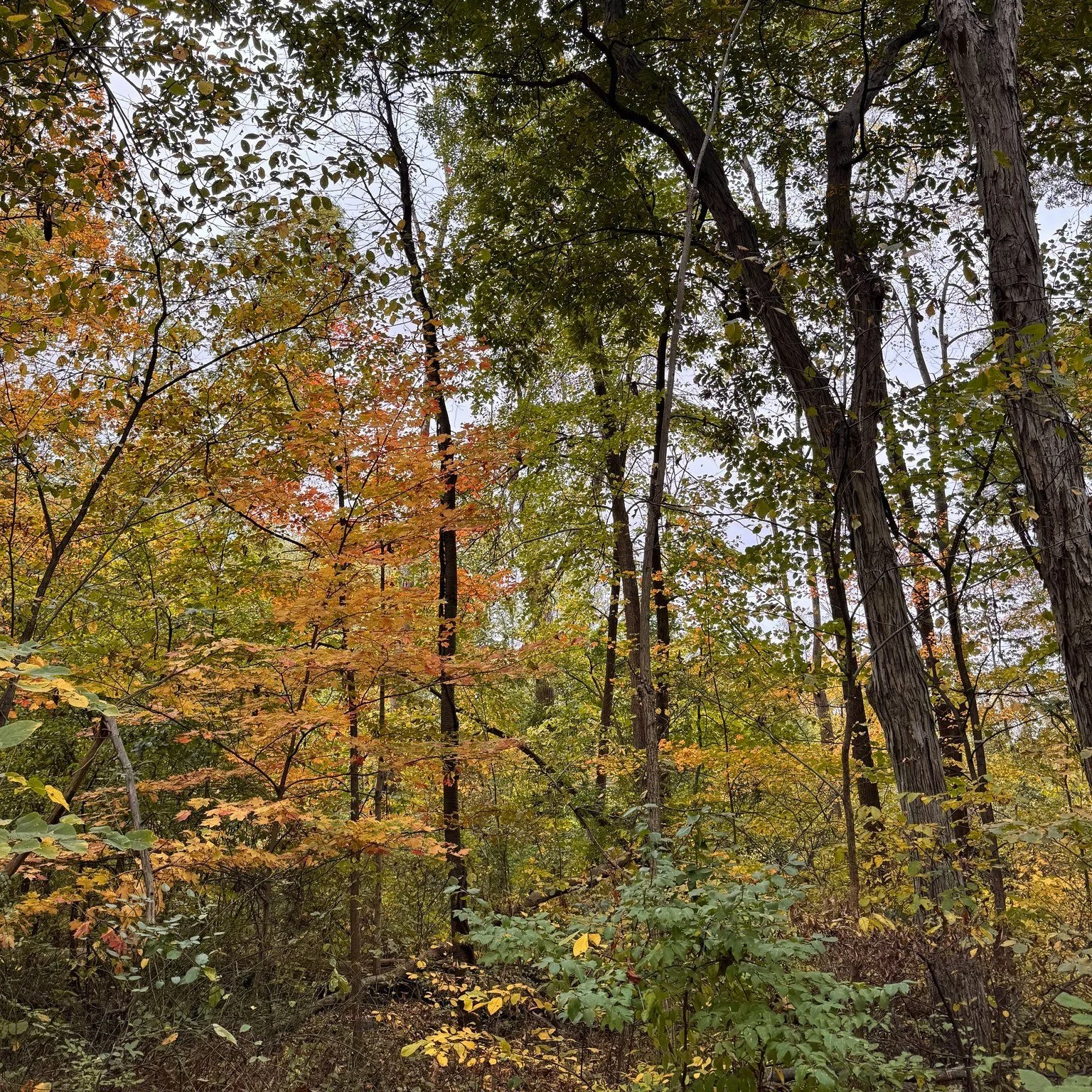 After living in southern states for half of a decade, it is SO nice to finally be back in a place where you actually get to experience the seasons changing. Do I like being cold? Absolutely not. But I am very thankful that it isn&rsquo;t just too hot