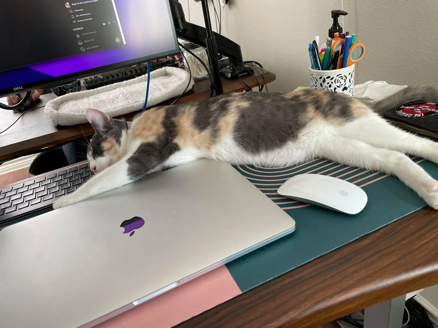 I think about future trips the way some people think about retirement.

Constantly. With enthusiasm.