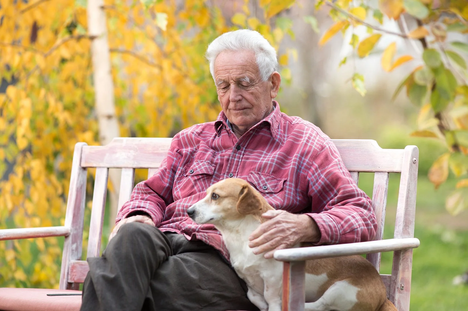 Old man enjoying time with his dog on park bench