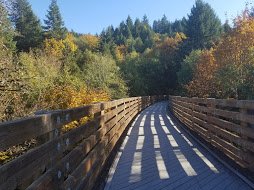 Wooden bridge over a creek with trees and fall foliage in the background